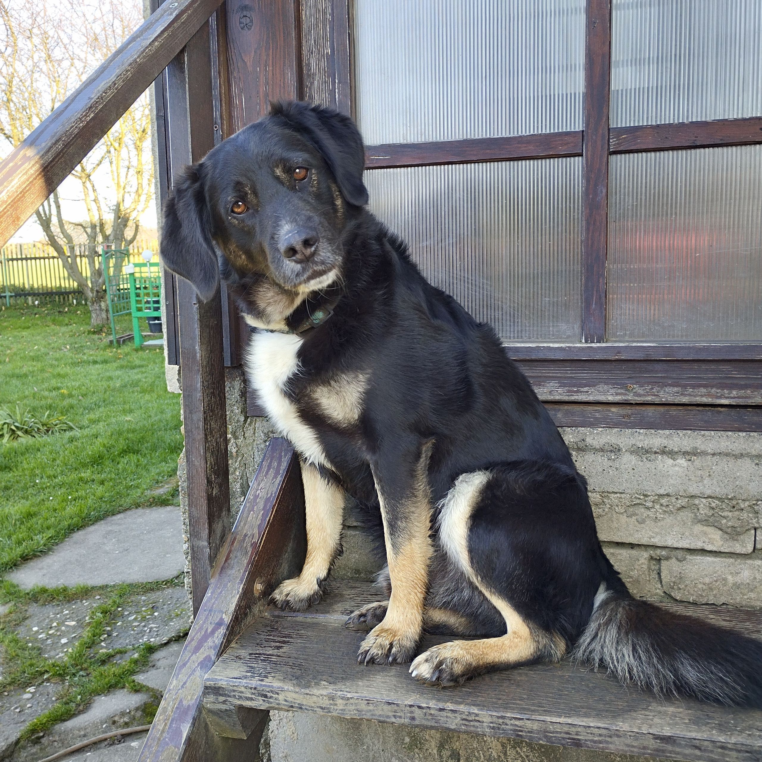 Soutěžní fotografie - Rocky,  Ostatní