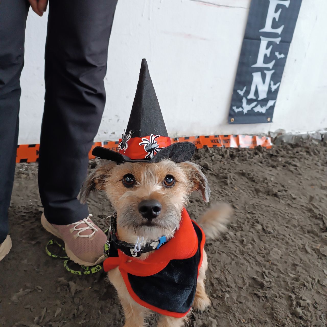 Soutěžní fotografie - Mody,  Ostatní