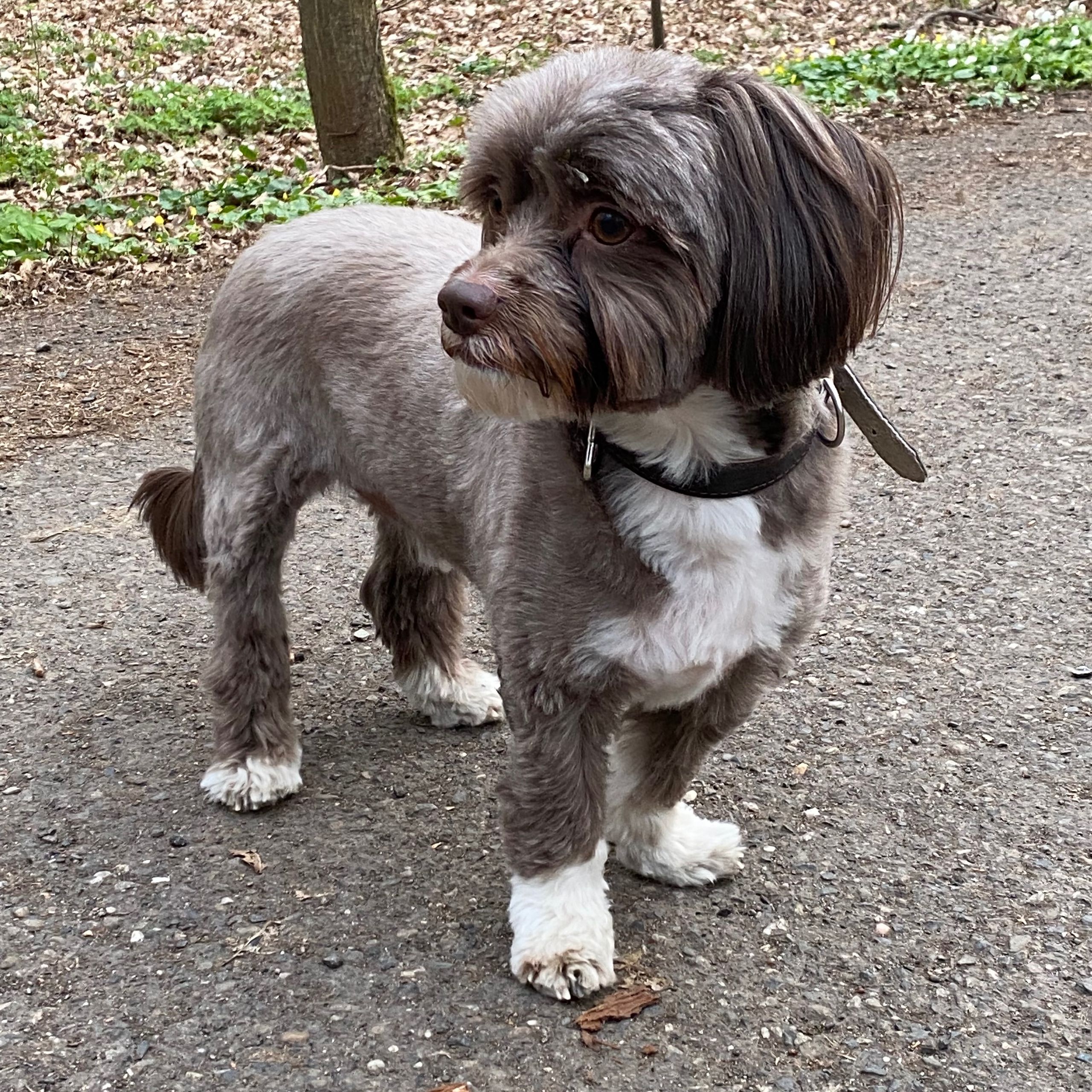 Soutěžní fotografie - Bady,  Ostatní