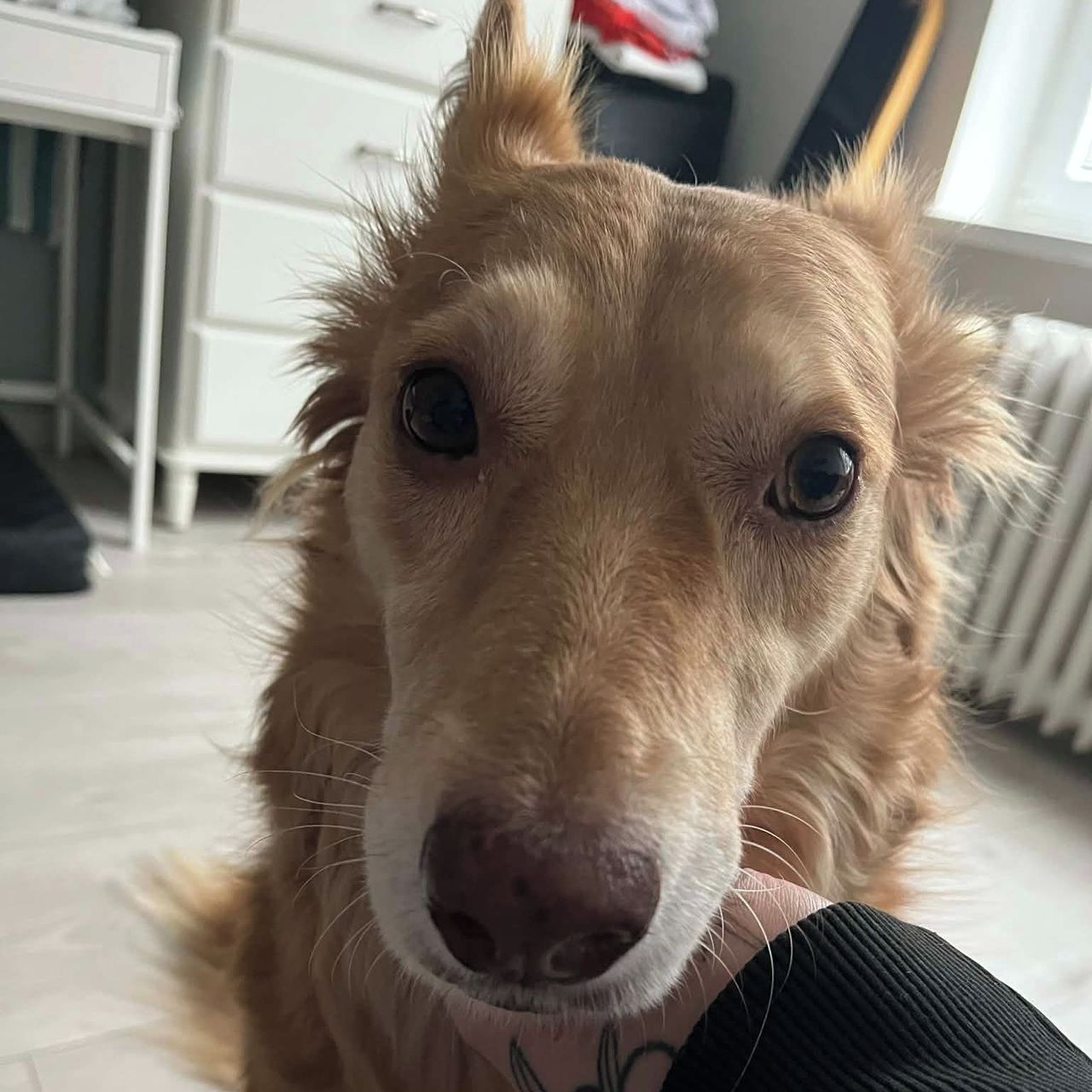 Soutěžní fotografie - Linet,  Ostatní