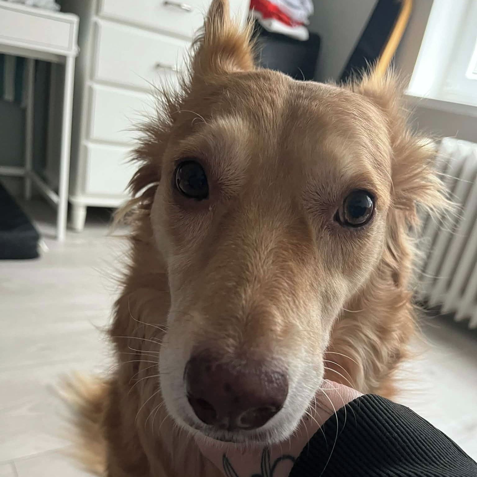 Soutěžní fotografie - Linet,  Ostatní