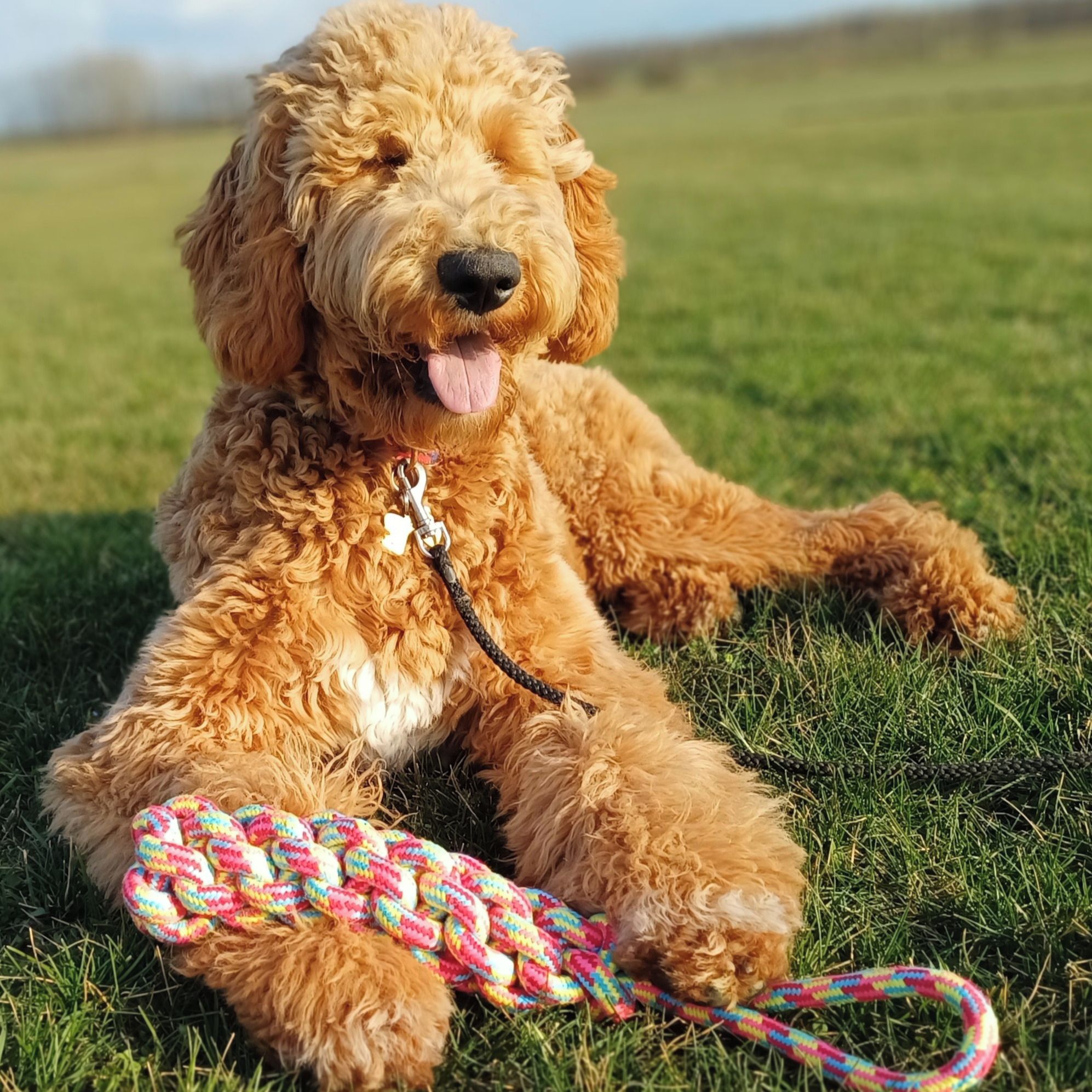 Soutěžní fotografie - EBONY,  Ostatní