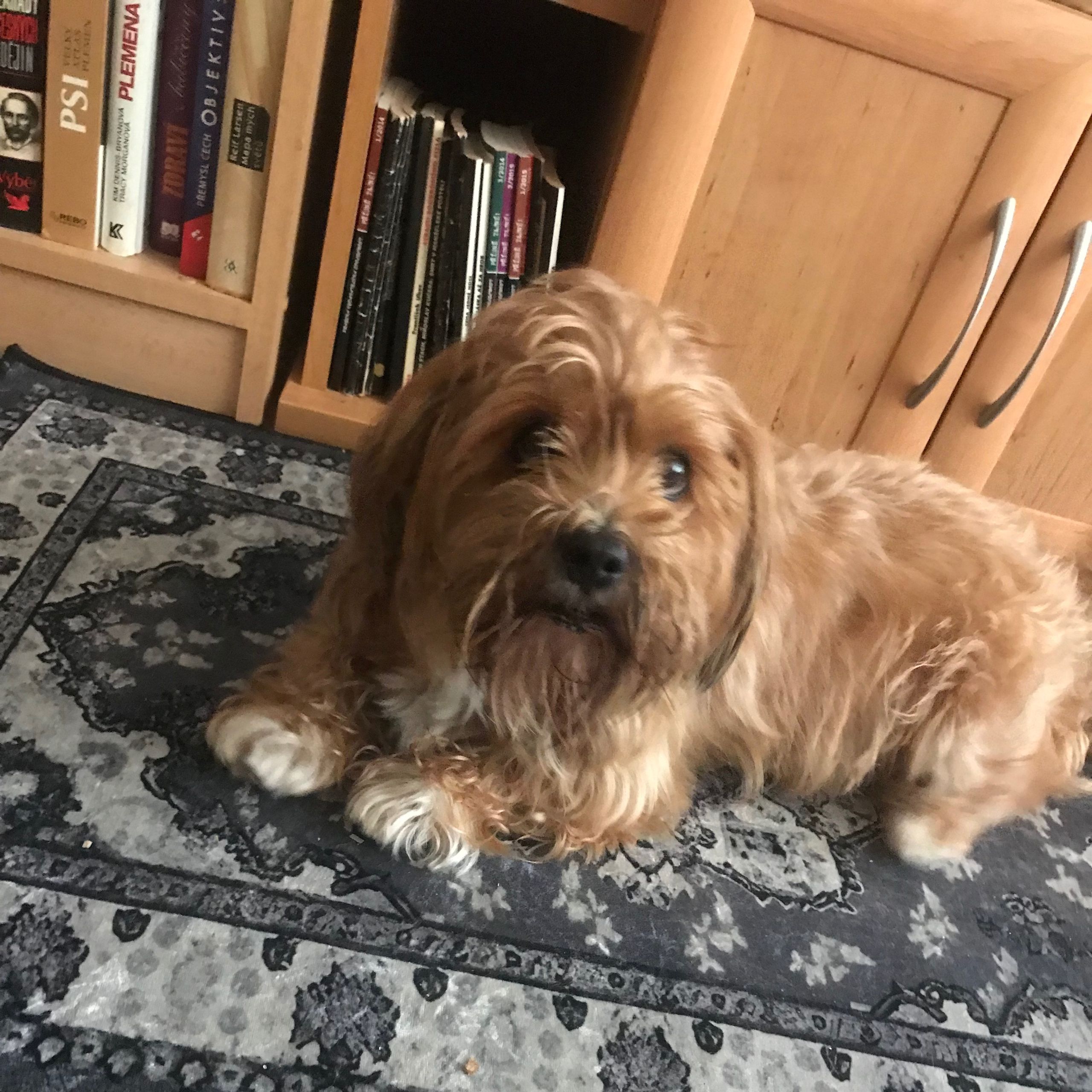 Soutěžní fotografie - Nelly,  Ostatní