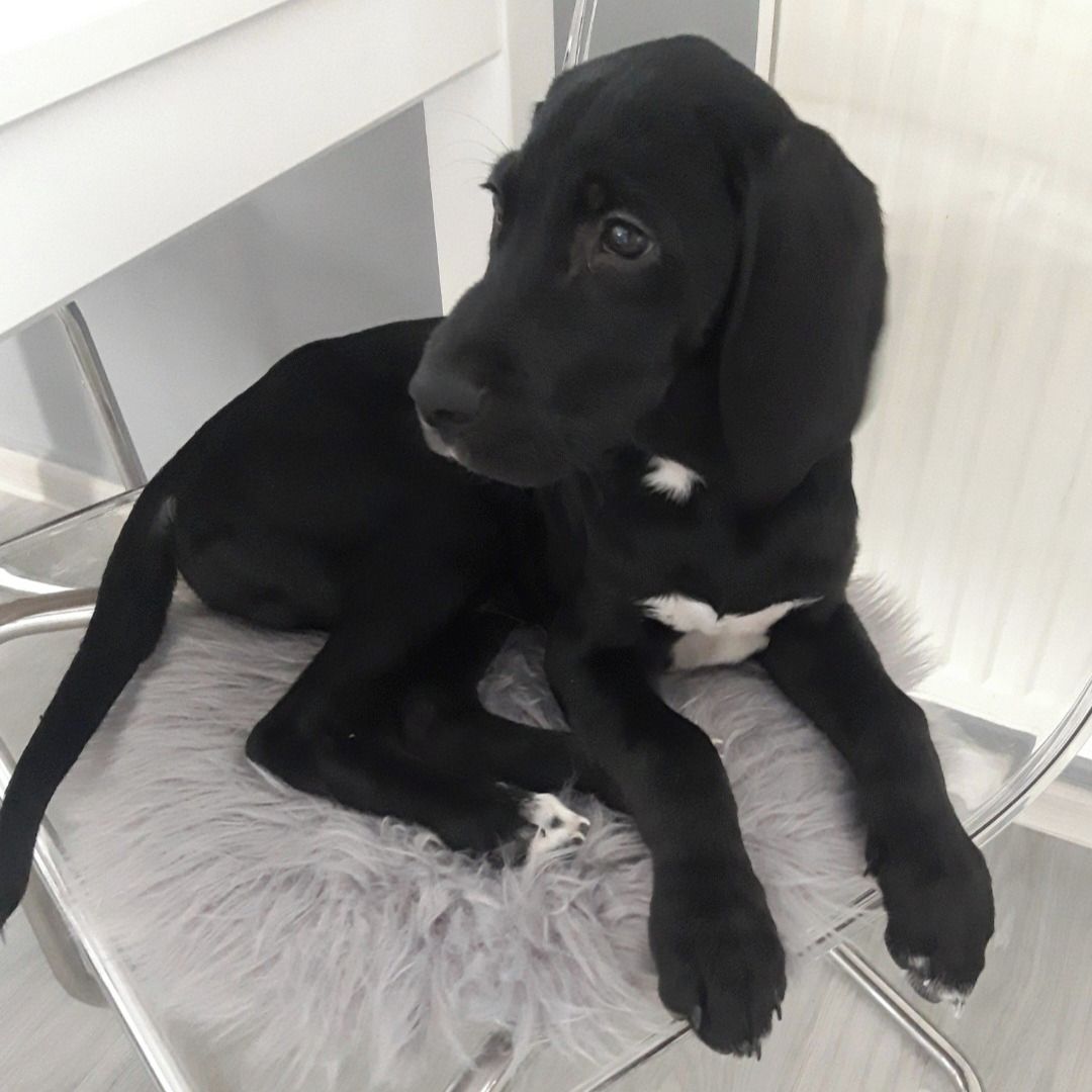 Soutěžní fotografie - Bohoušek,  Ostatní