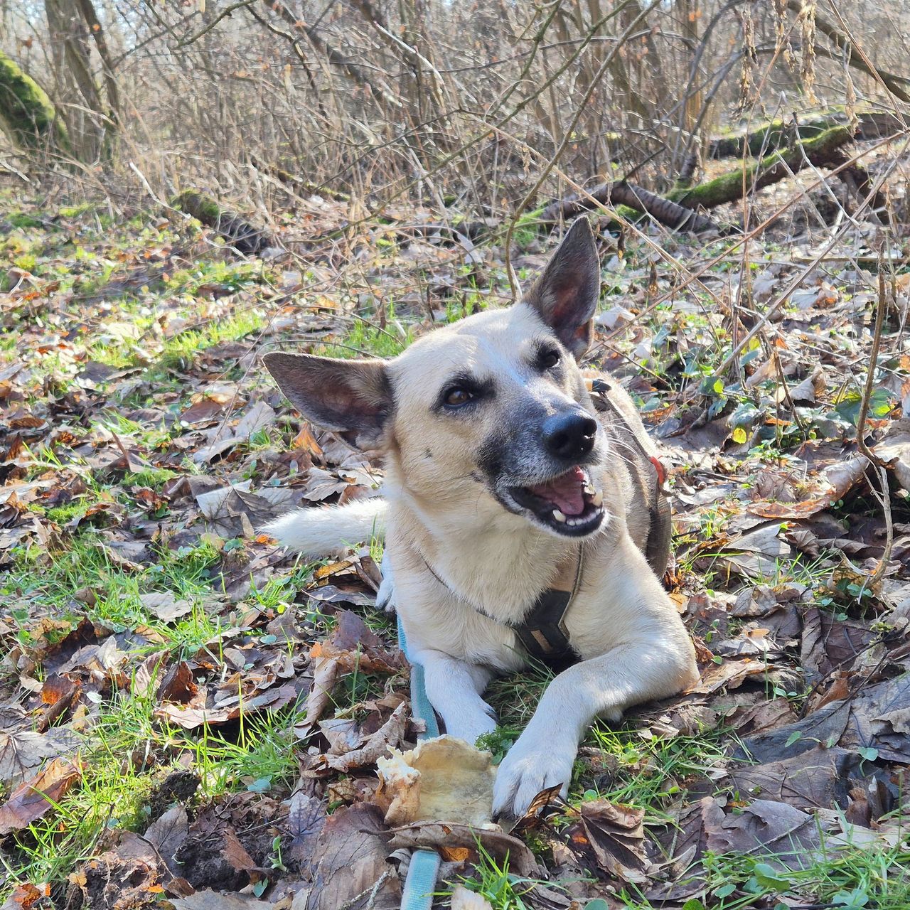 Soutěžní fotografie - Loky,  Ostatní