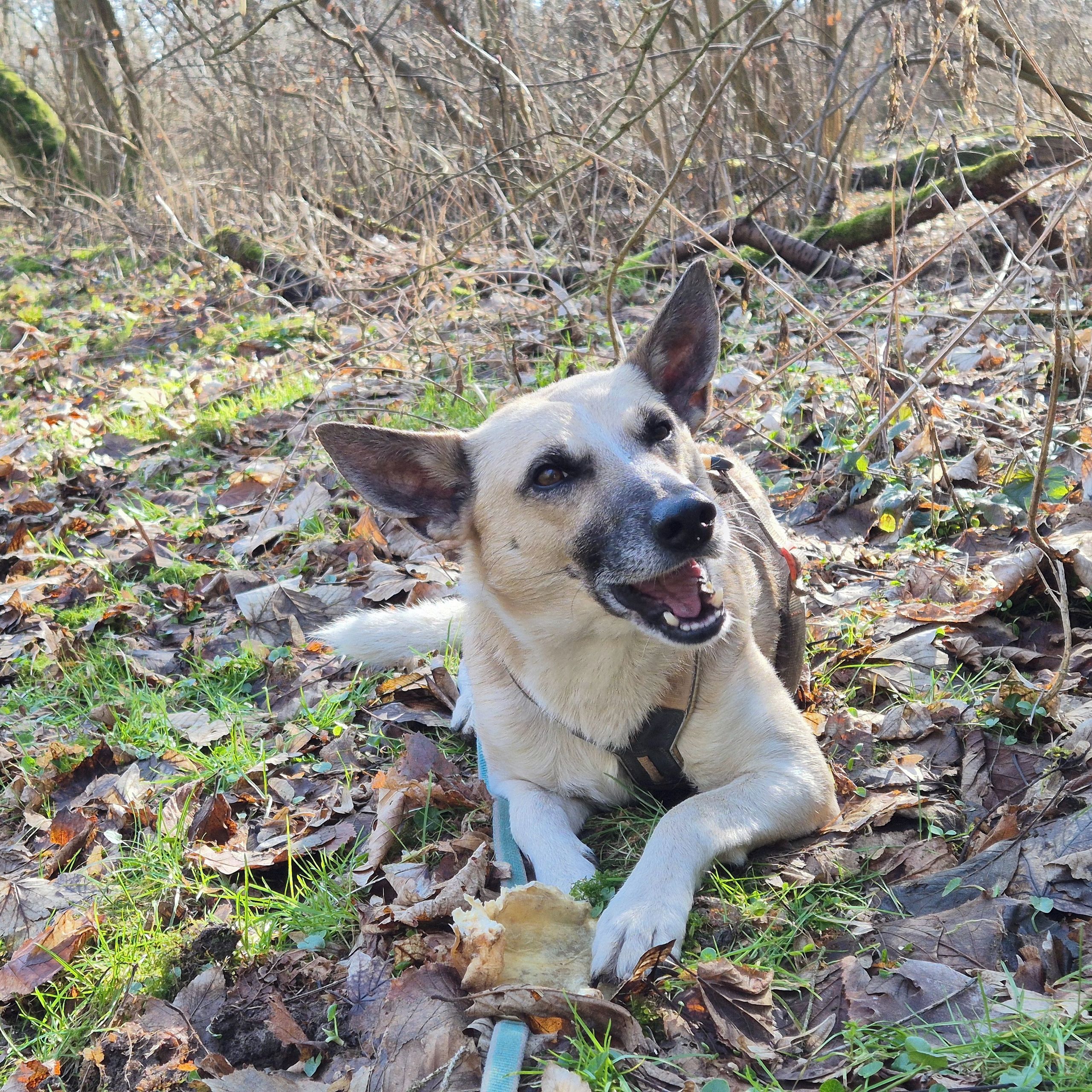 Soutěžní fotografie - Loky,  Ostatní