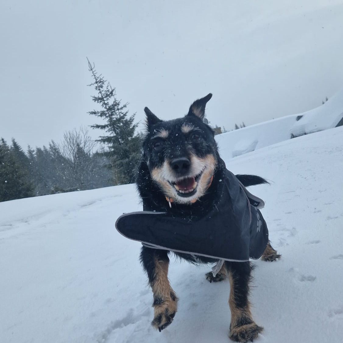 Soutěžní fotografie - Paní Medvídková,  Ostatní