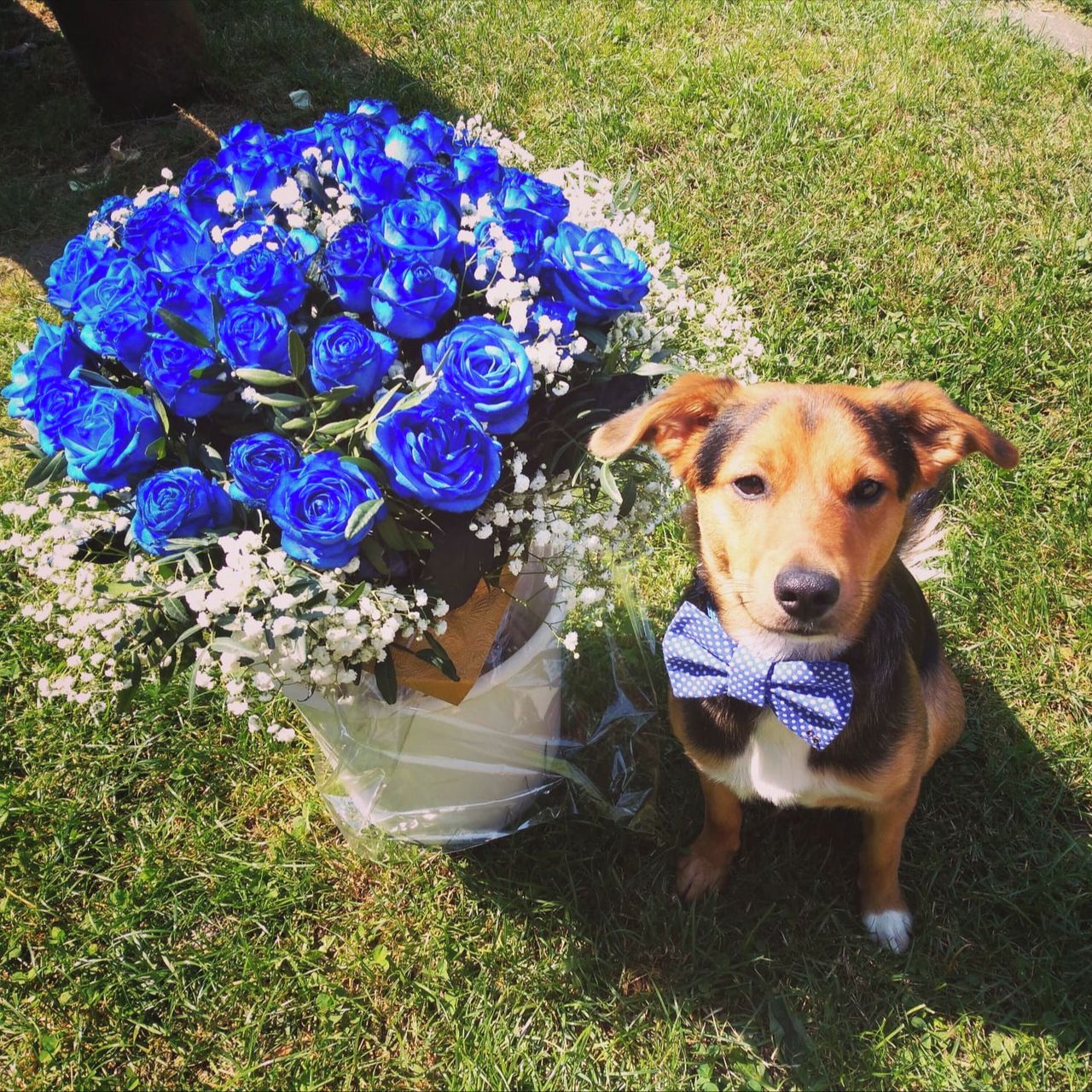 Soutěžní fotografie - Gump,  Ostatní