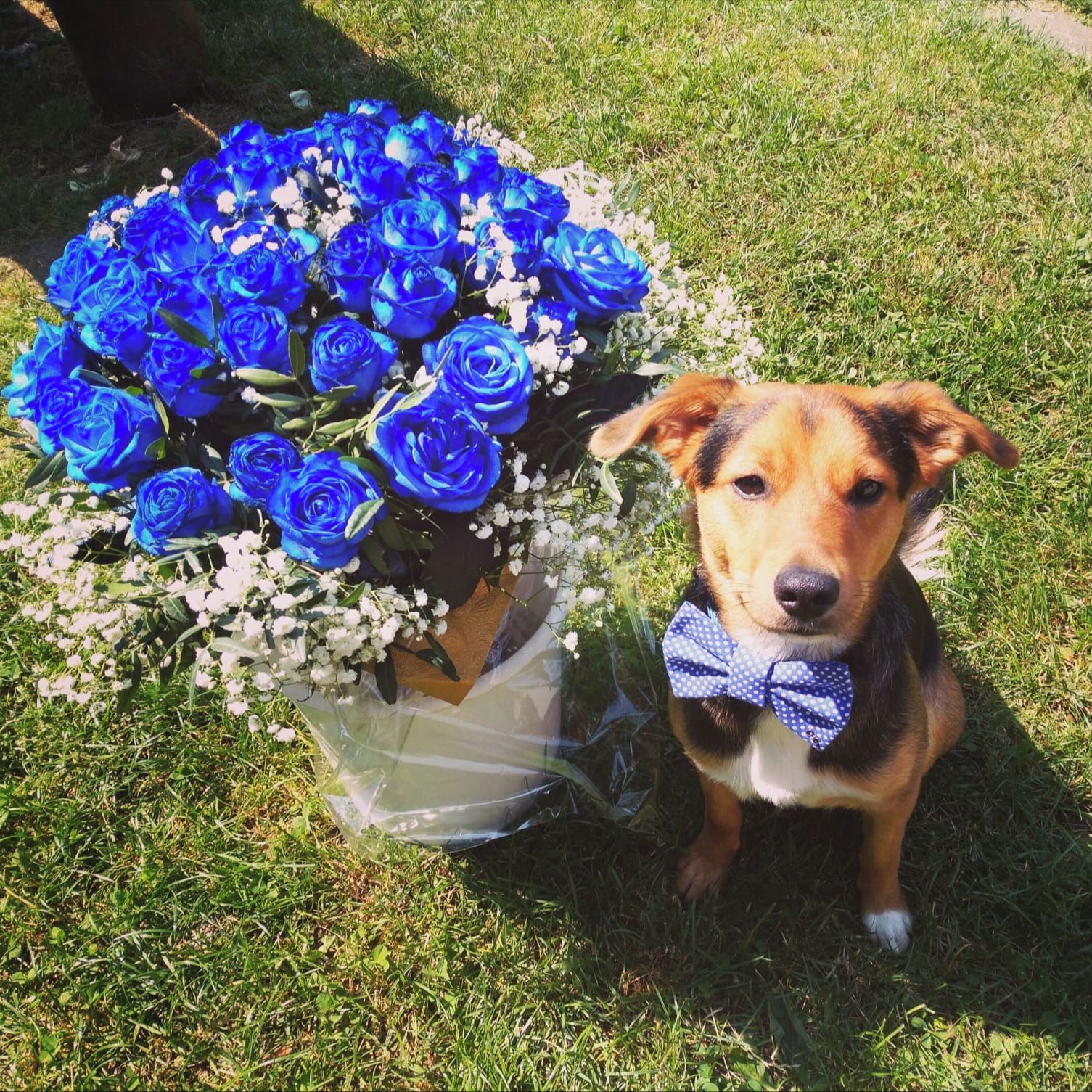 Soutěžní fotografie - Gump,  Ostatní