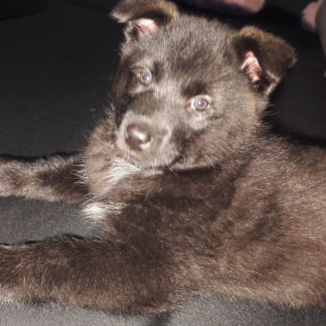 Soutěžní fotografie - Betynka,  Ostatní