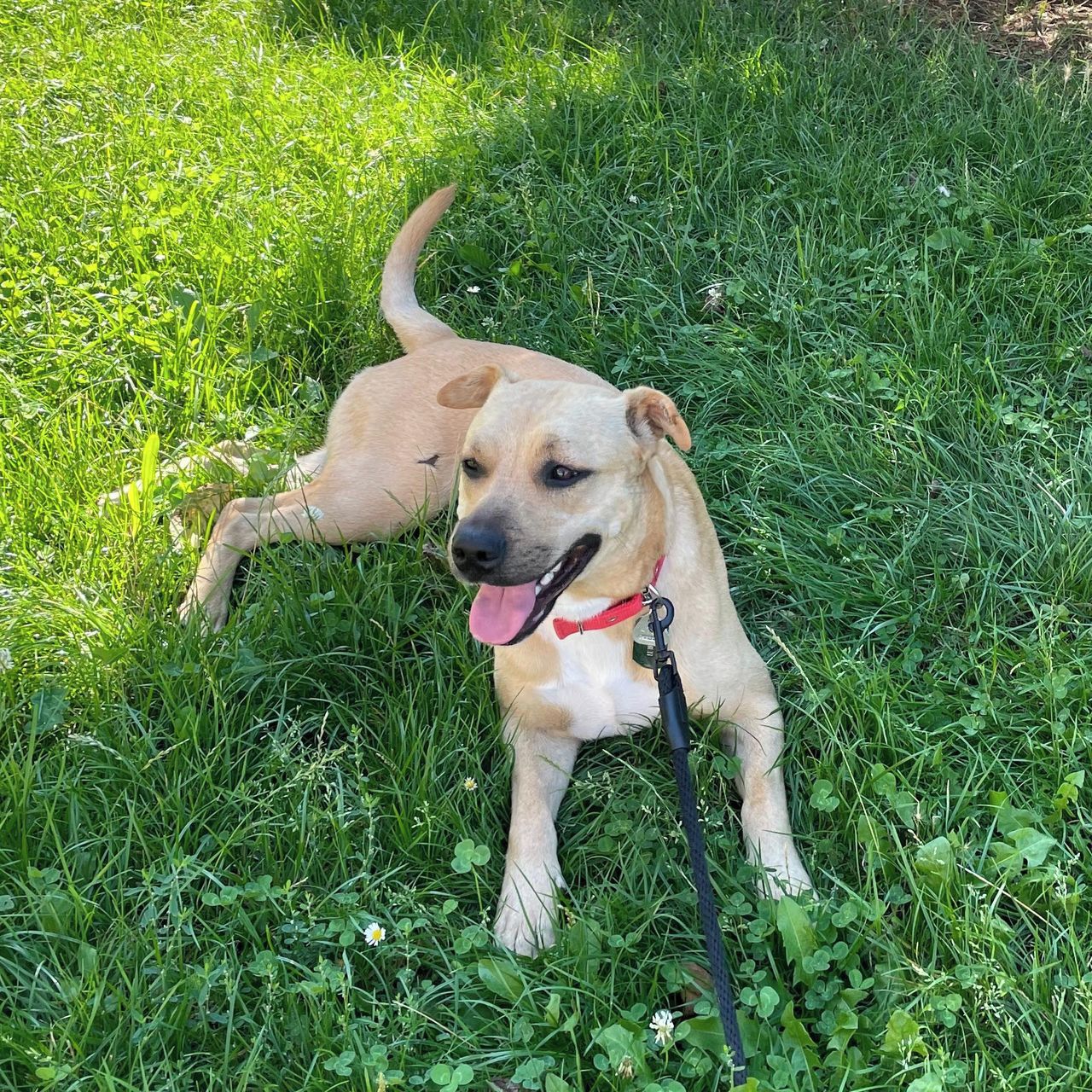 Soutěžní fotografie - Summer,  Ostatní