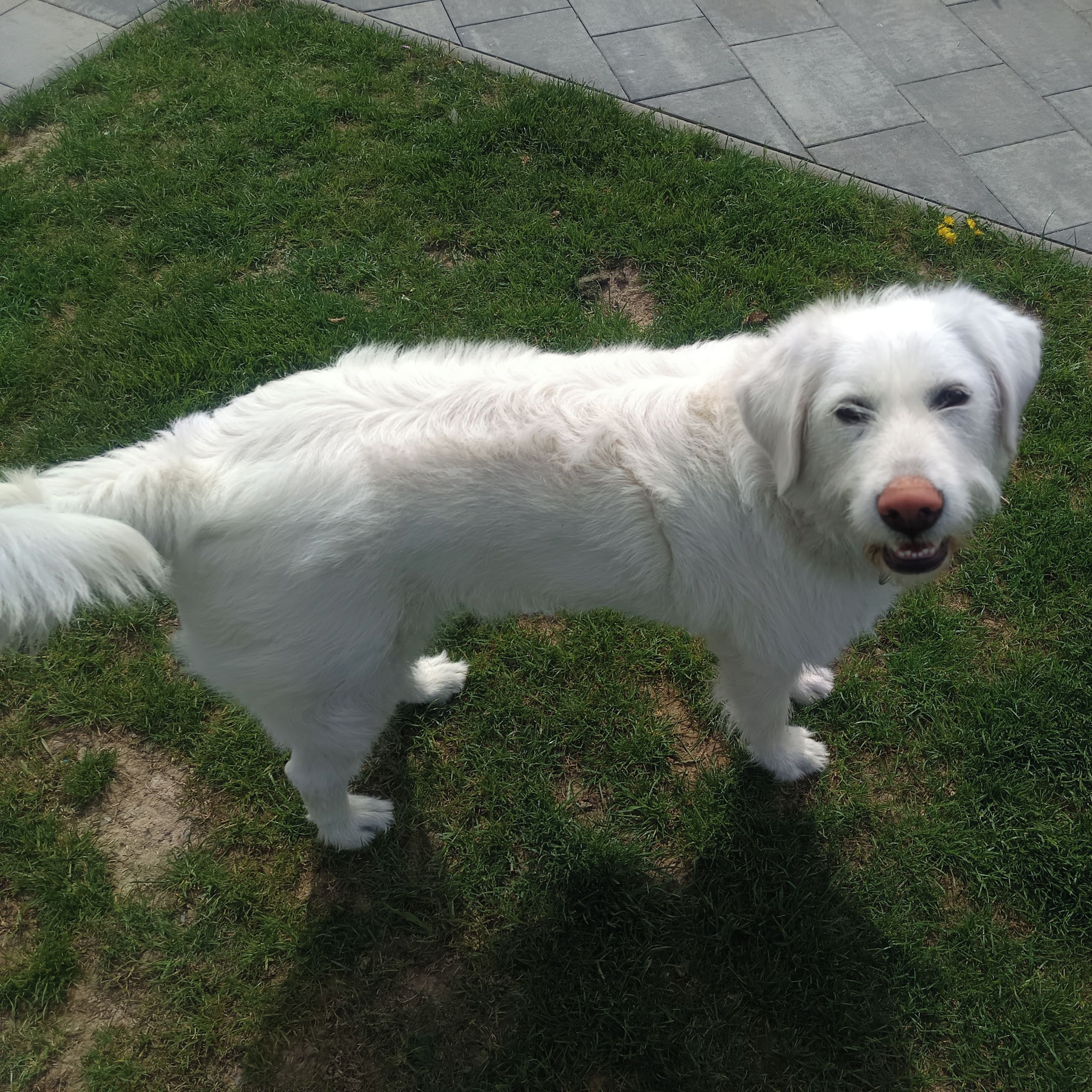 Soutěžní fotografie - Meginka,  Ostatní