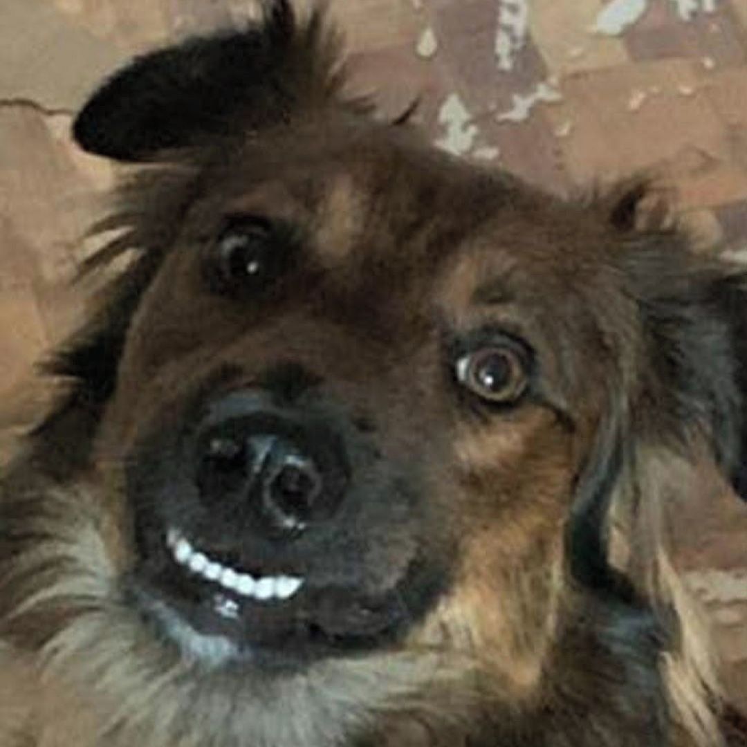 Soutěžní fotografie - Sajmonek,  Ostatní