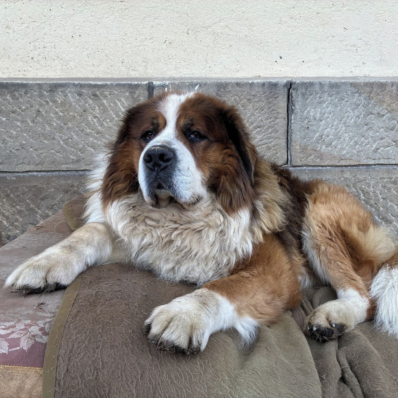 Soutěžní fotografie - Rony,  Ostatní