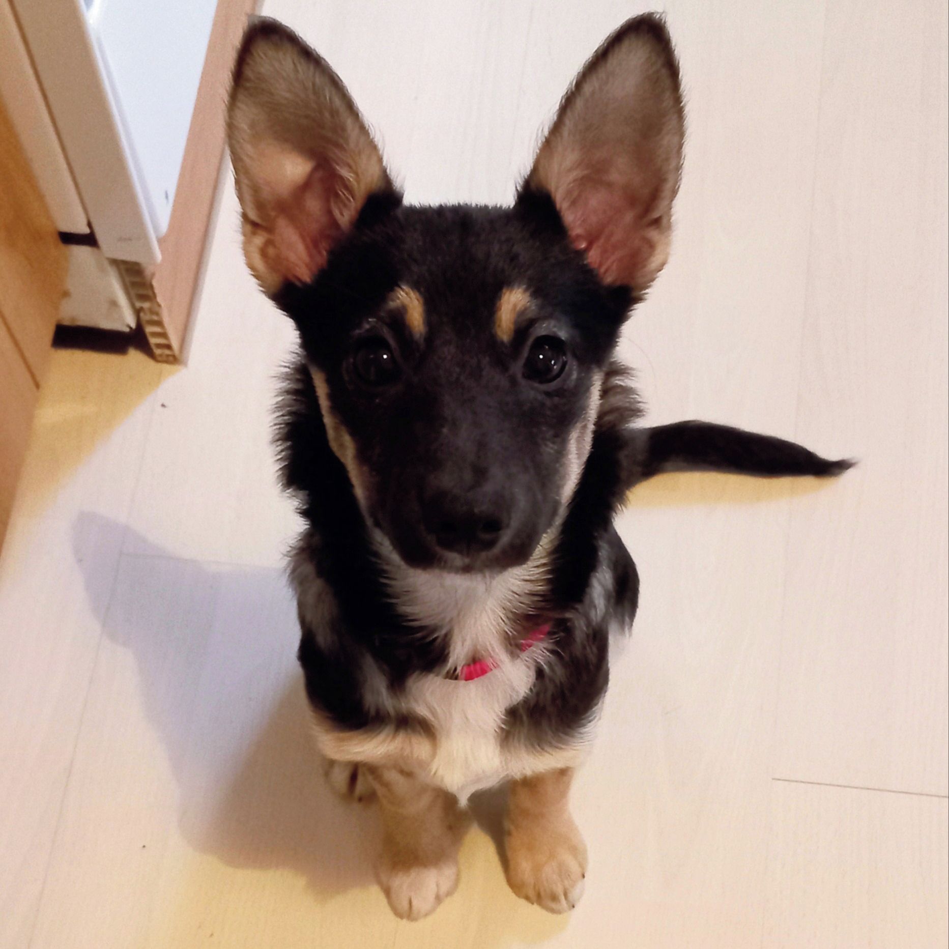 Soutěžní fotografie - Ellí,  Ostatní