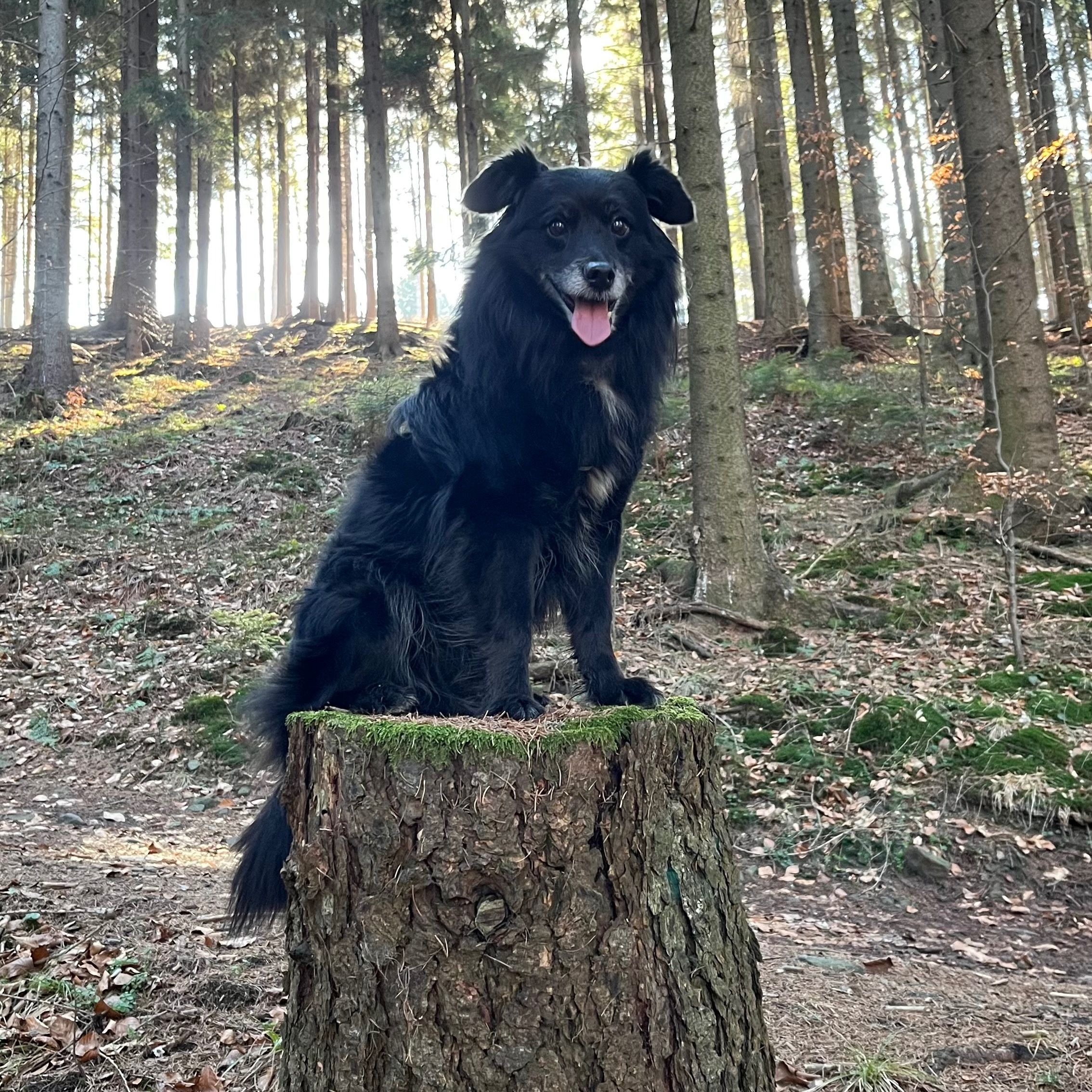 Soutěžní fotografie - Rony,  Ostatní