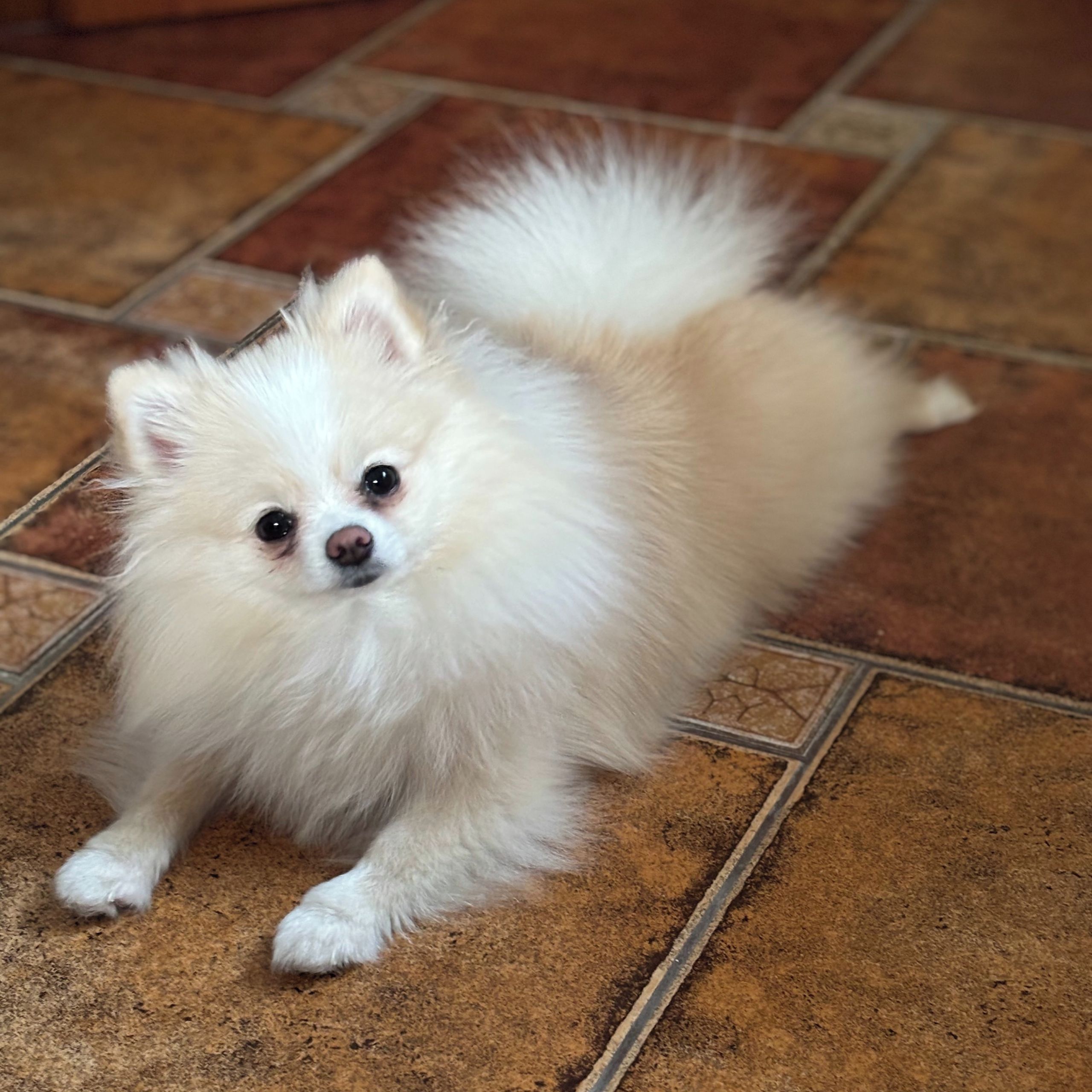 Soutěžní fotografie - Ennie Muffi Ogi,  Ostatní