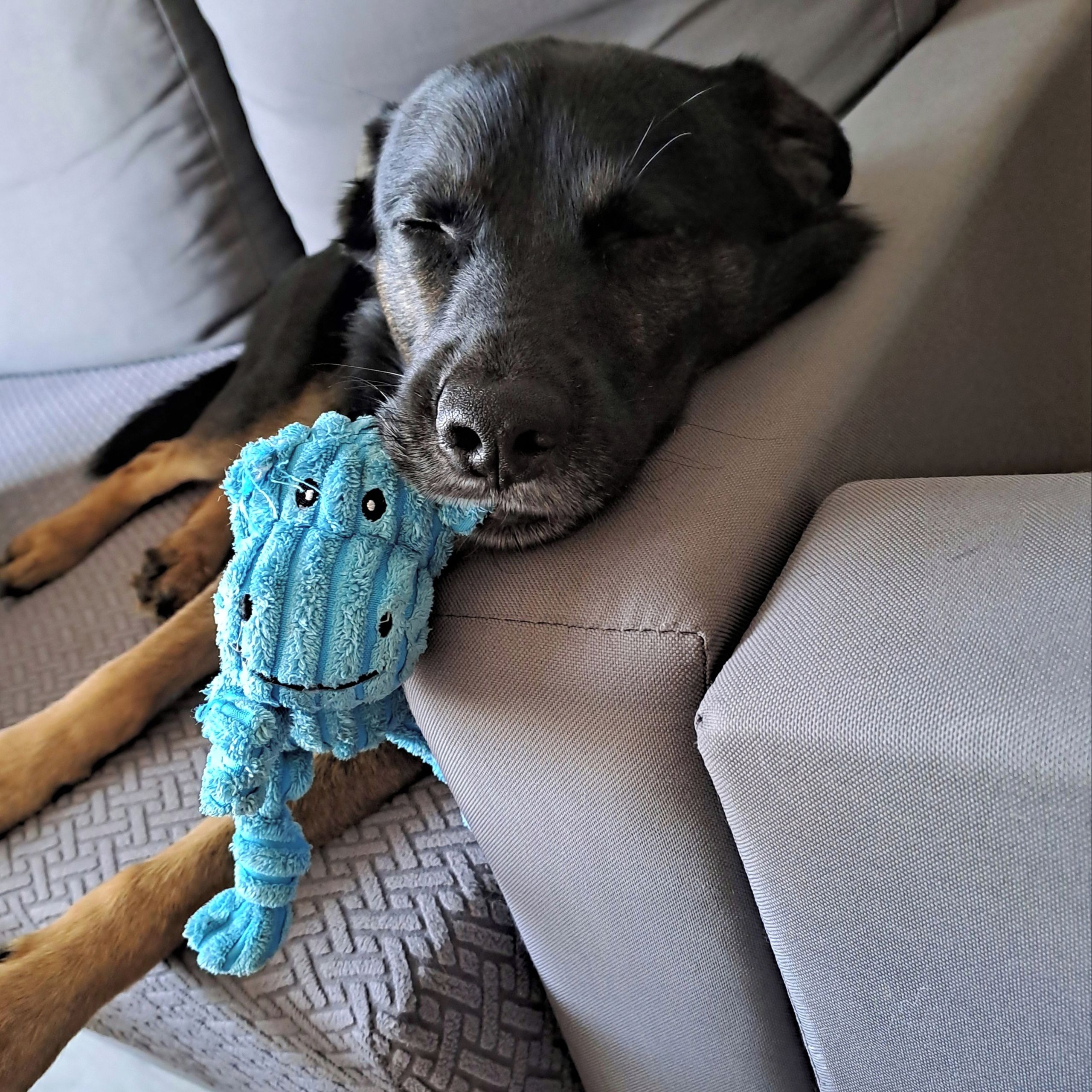 Soutěžní fotografie - Milo,  Ostatní