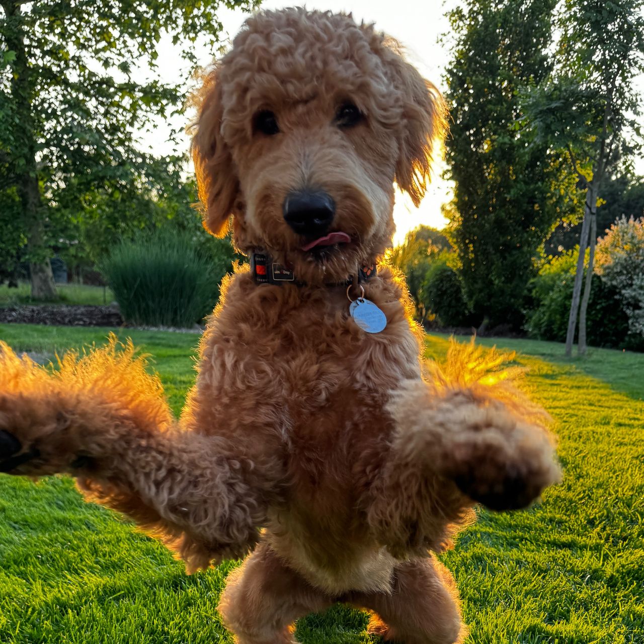 Soutěžní fotografie - Mayby,  Ostatní