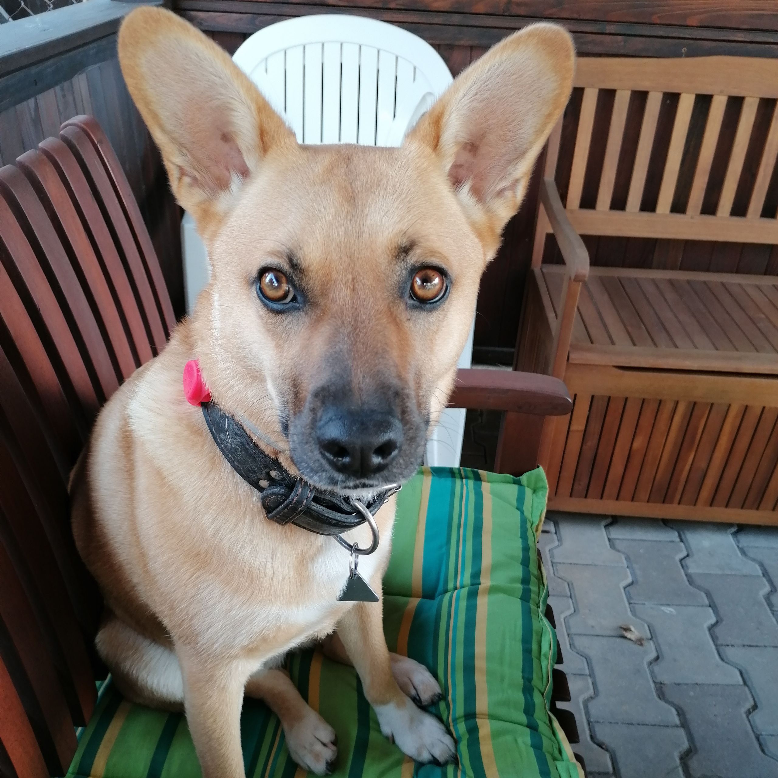 Soutěžní fotografie - Yuli,  Ostatní