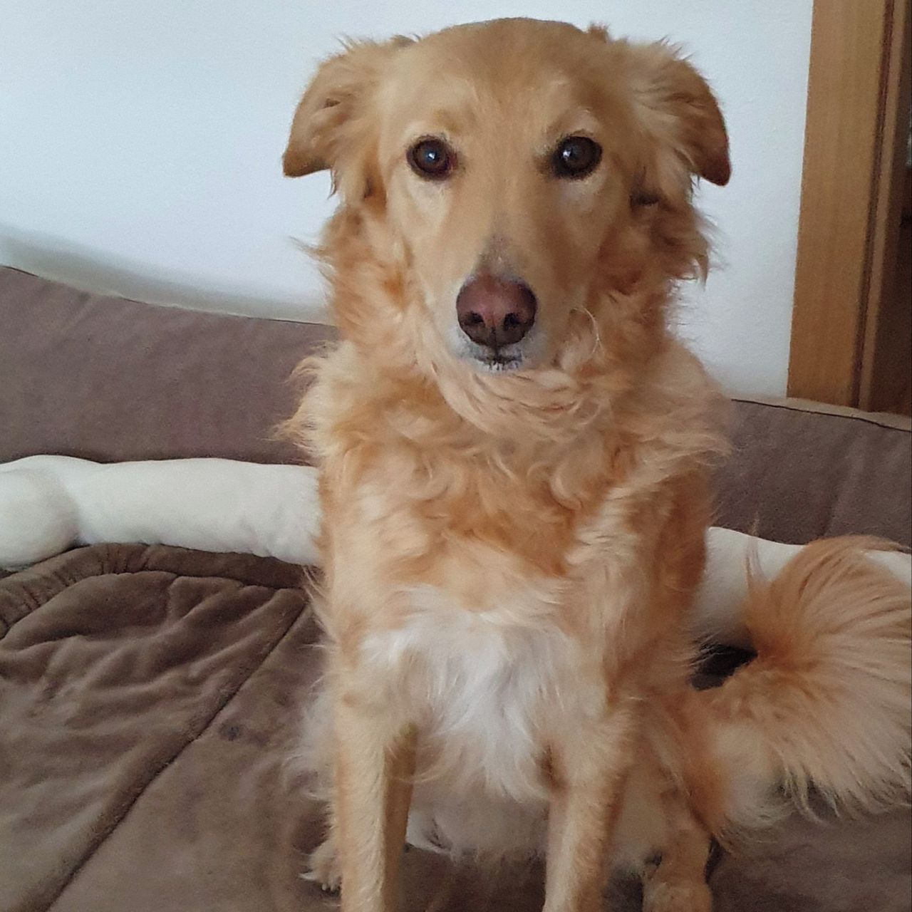 Soutěžní fotografie - Hektor,  Ostatní