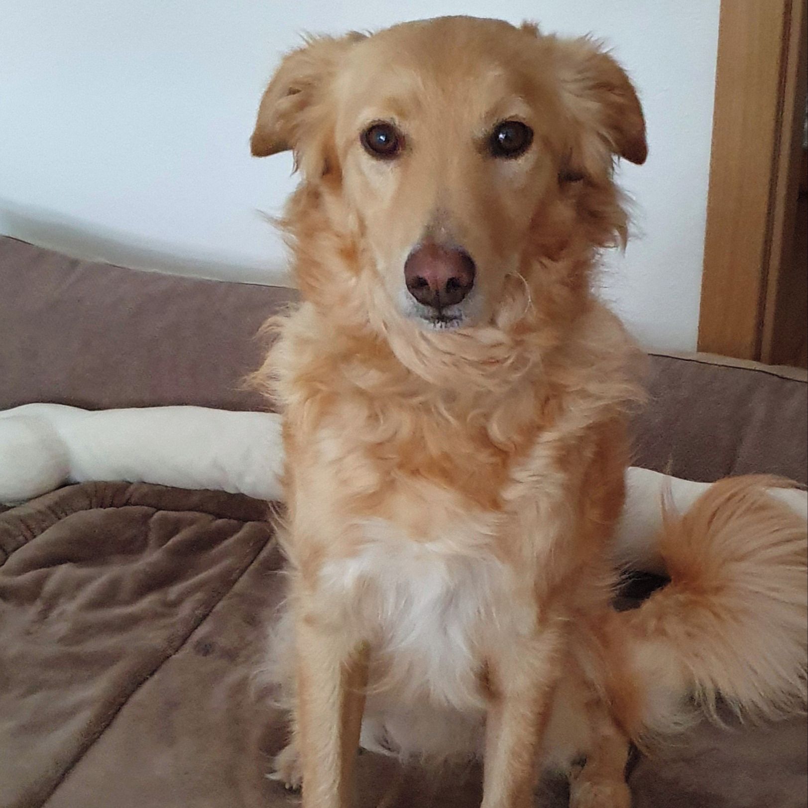 Soutěžní fotografie - Hektor,  Ostatní