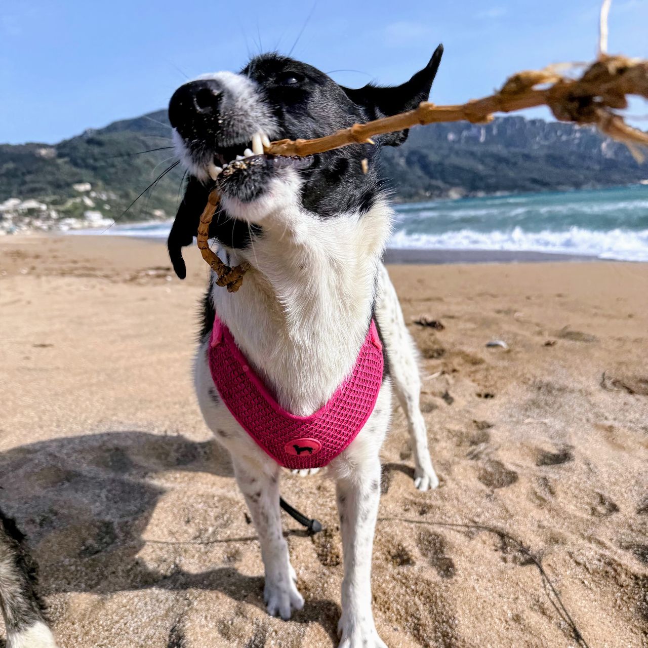 Soutěžní fotografie - Paulinka,  Ostatní