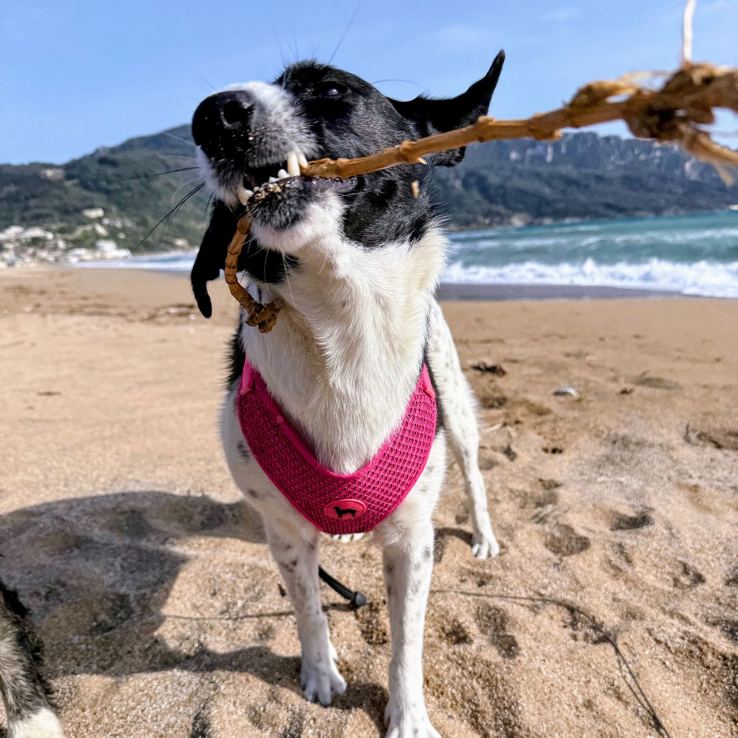 Soutěžní fotografie - Paulinka,  Ostatní