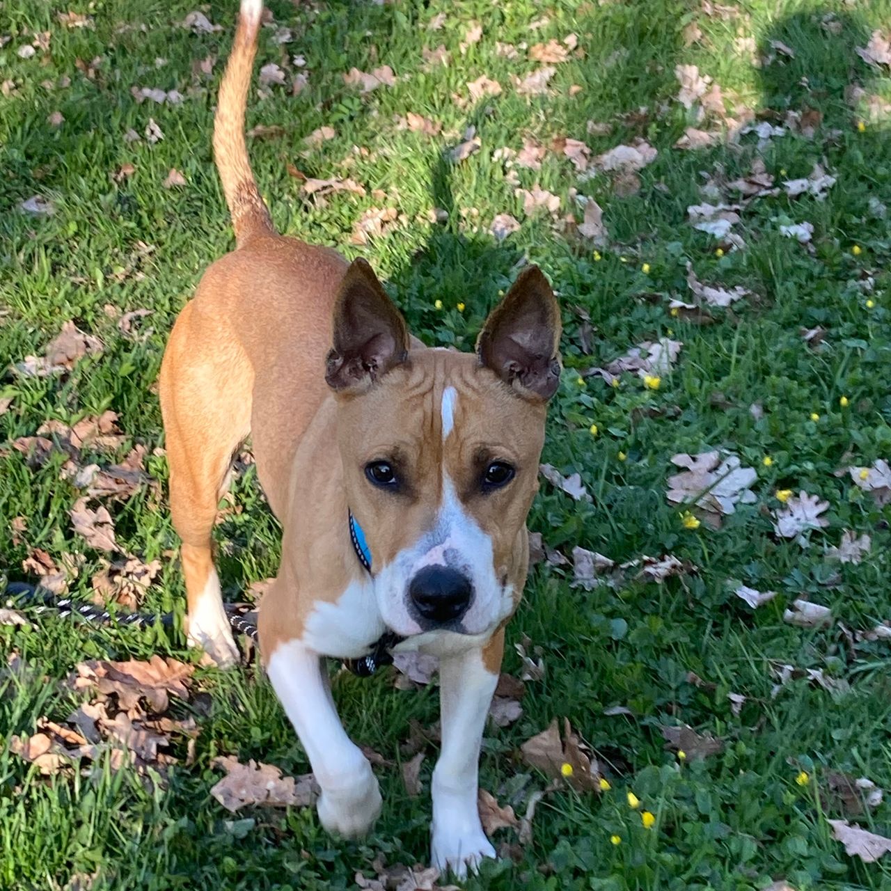 Soutěžní fotografie - Jessie,  Ostatní