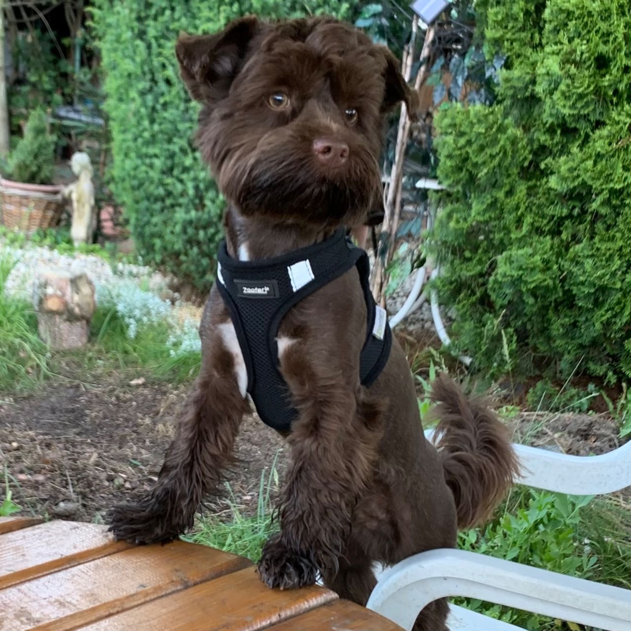 Soutěžní fotografie - Teddy,  Ostatní