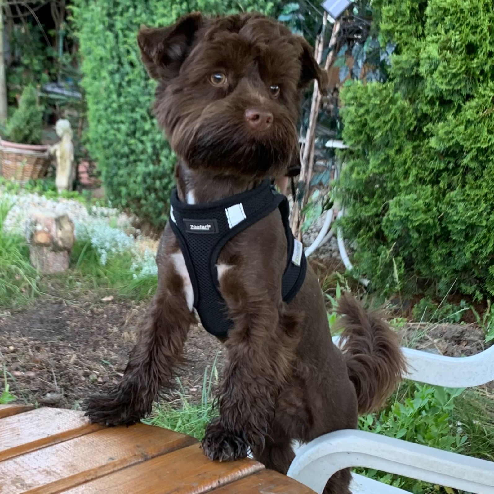 Soutěžní fotografie - Teddy,  Ostatní