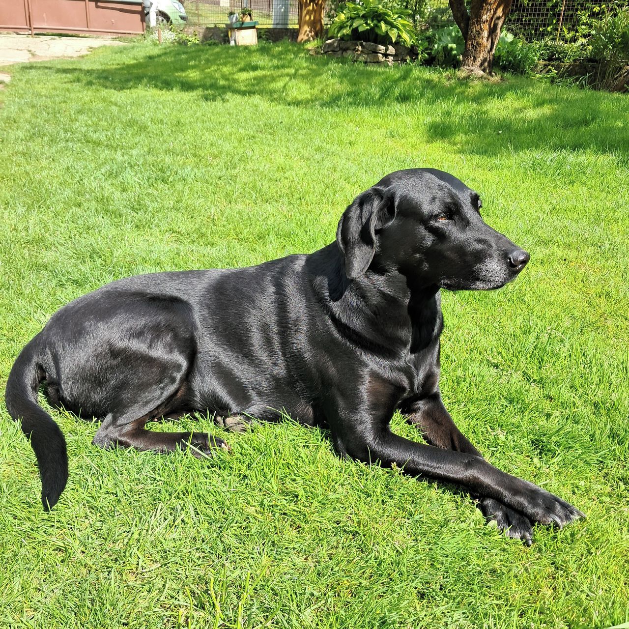 Soutěžní fotografie - Ema,  Ostatní