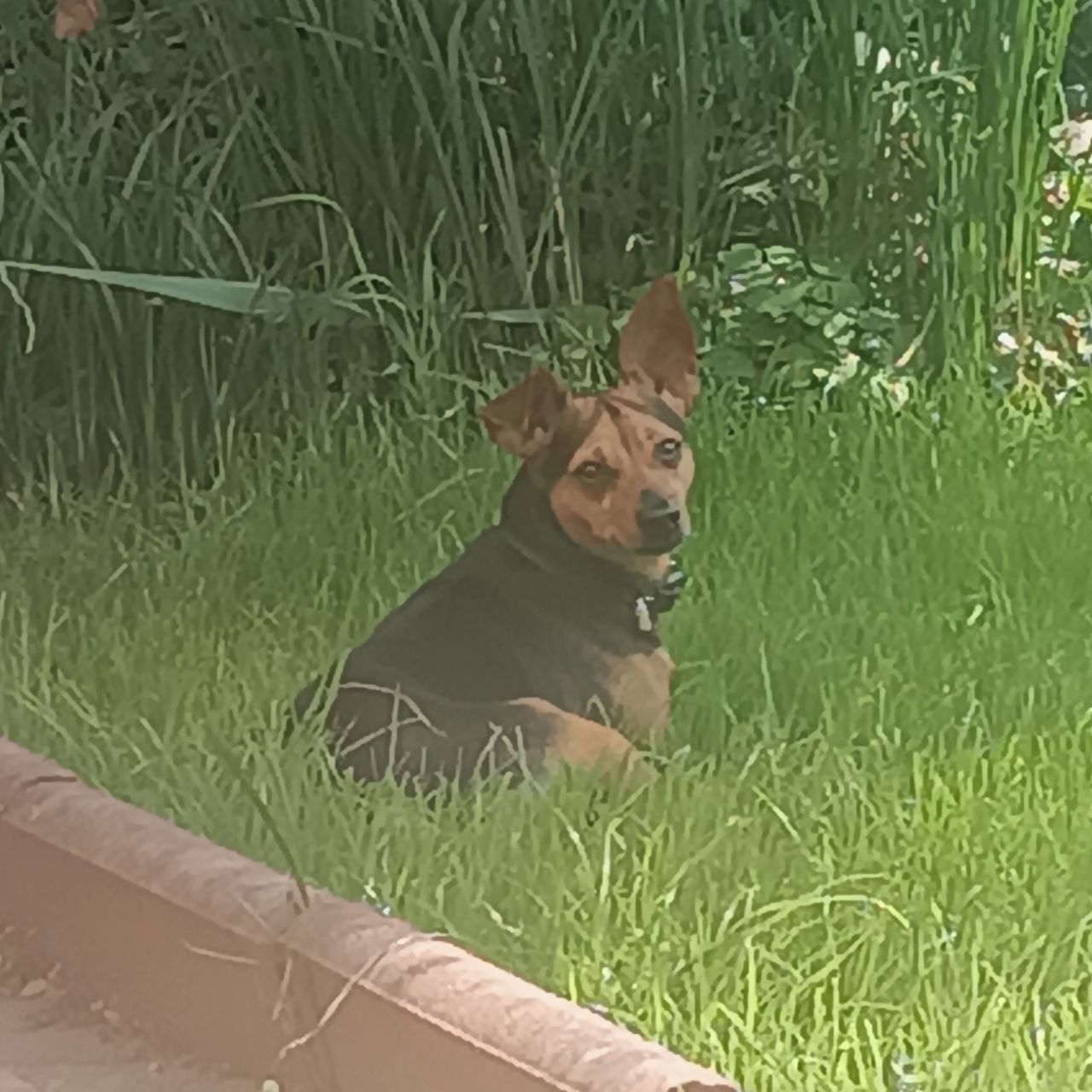 Soutěžní fotografie - RIKY,  Ostatní