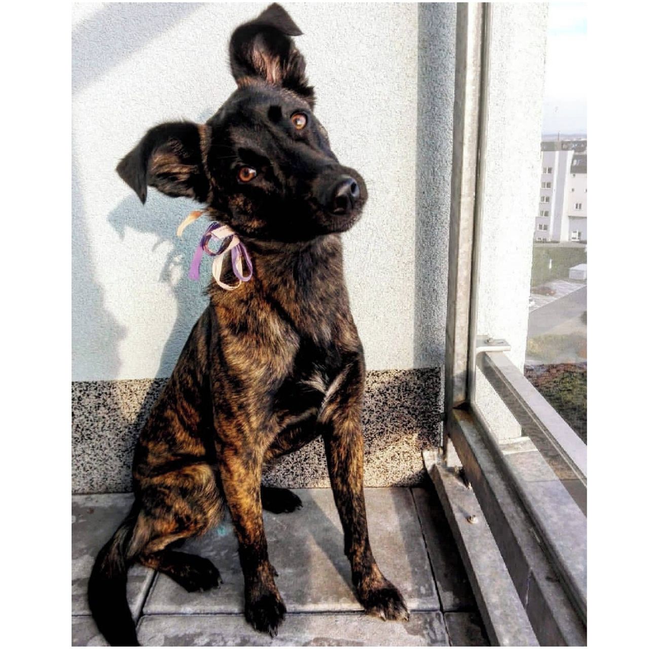 Soutěžní fotografie - Melinka,  Ostatní