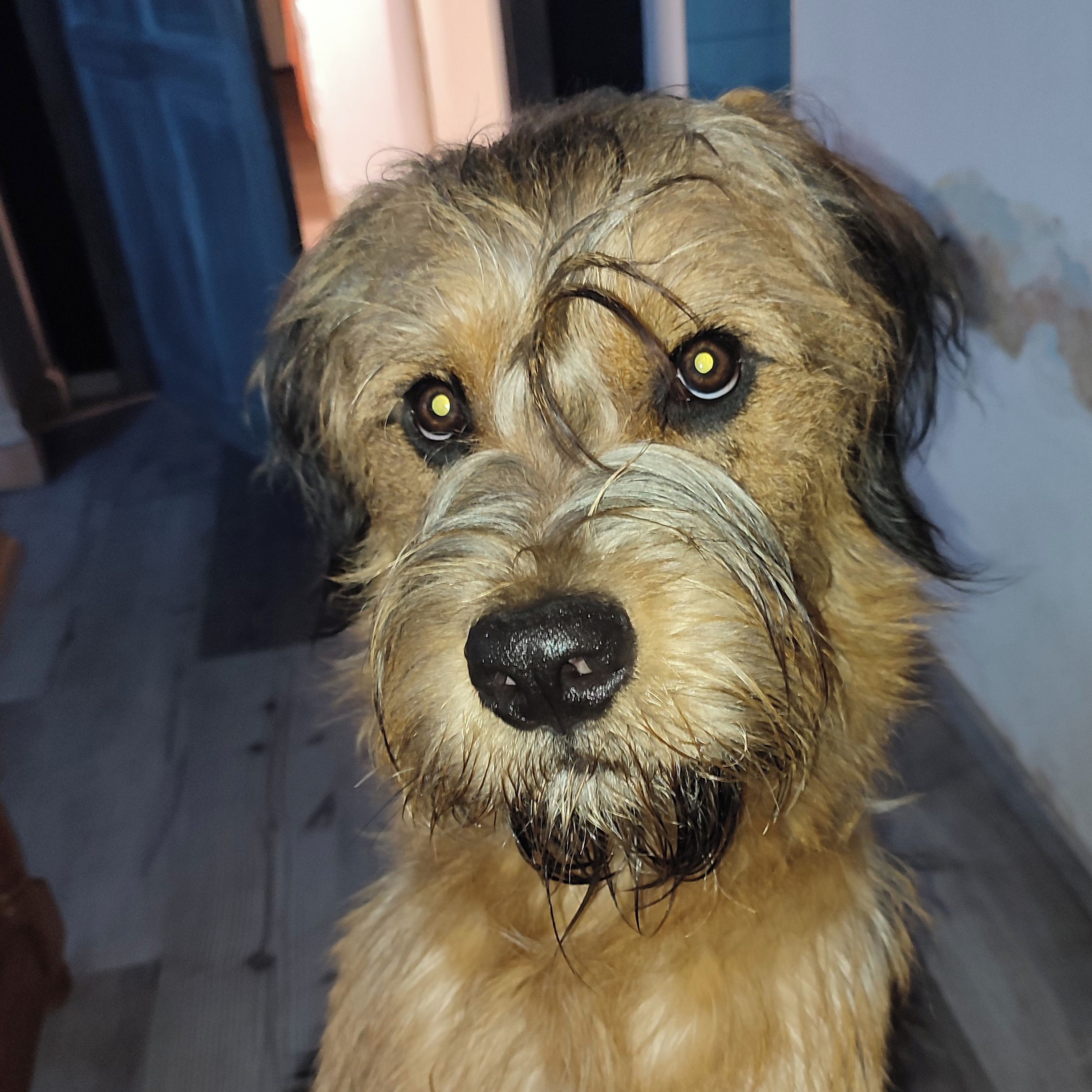 Soutěžní fotografie - Sam,  Ostatní