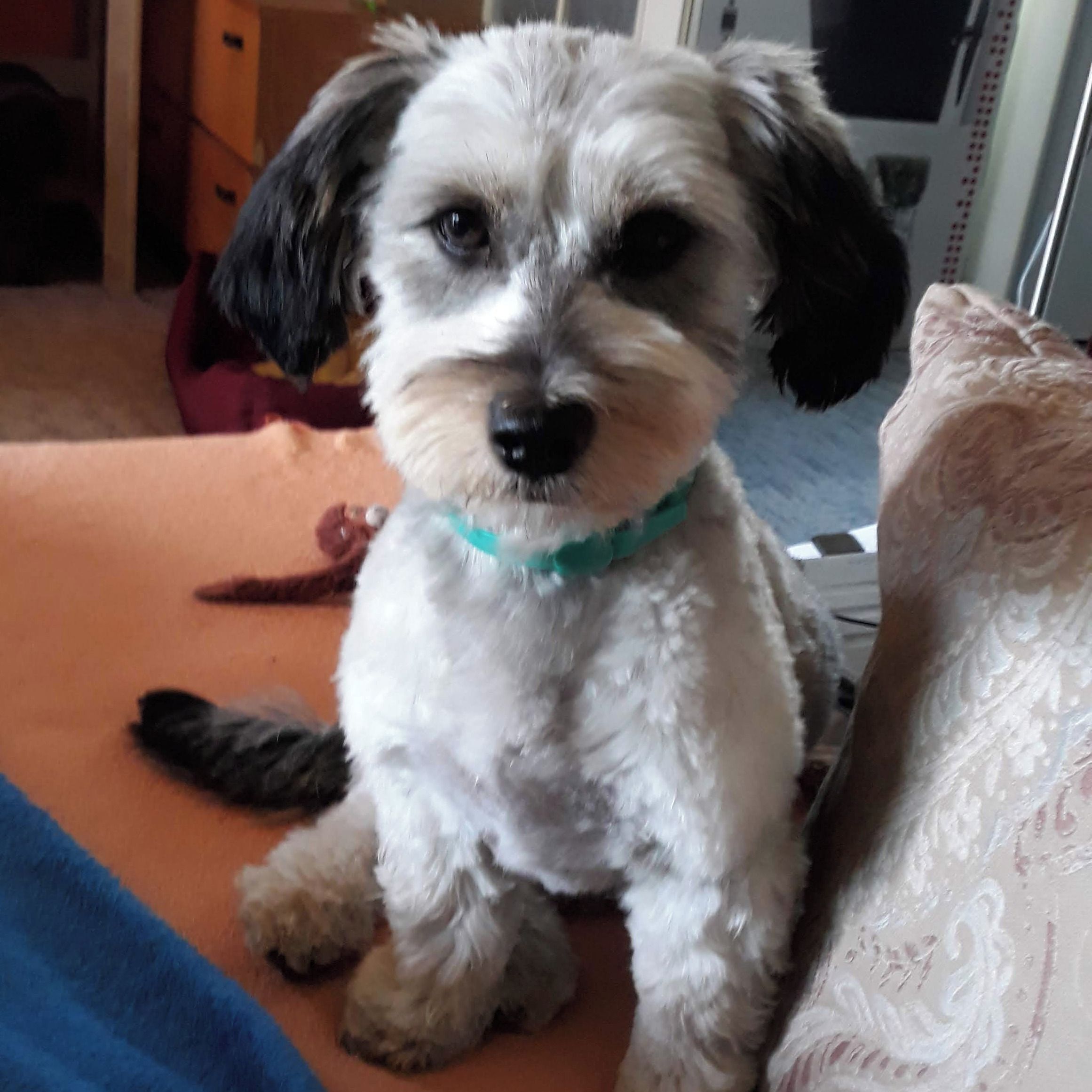 Soutěžní fotografie - Megy,  Ostatní