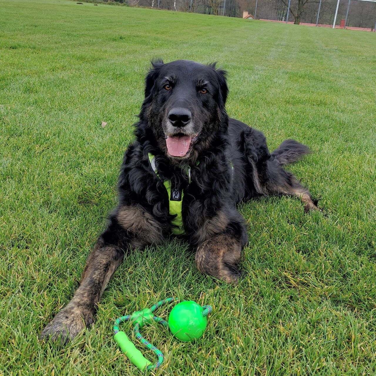 Soutěžní fotografie - Zoro,  Ostatní
