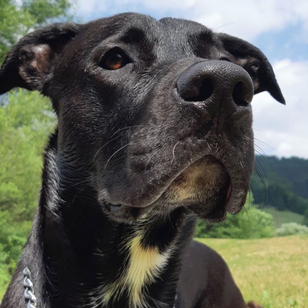 Soutěžní fotografie - White,  Ostatní