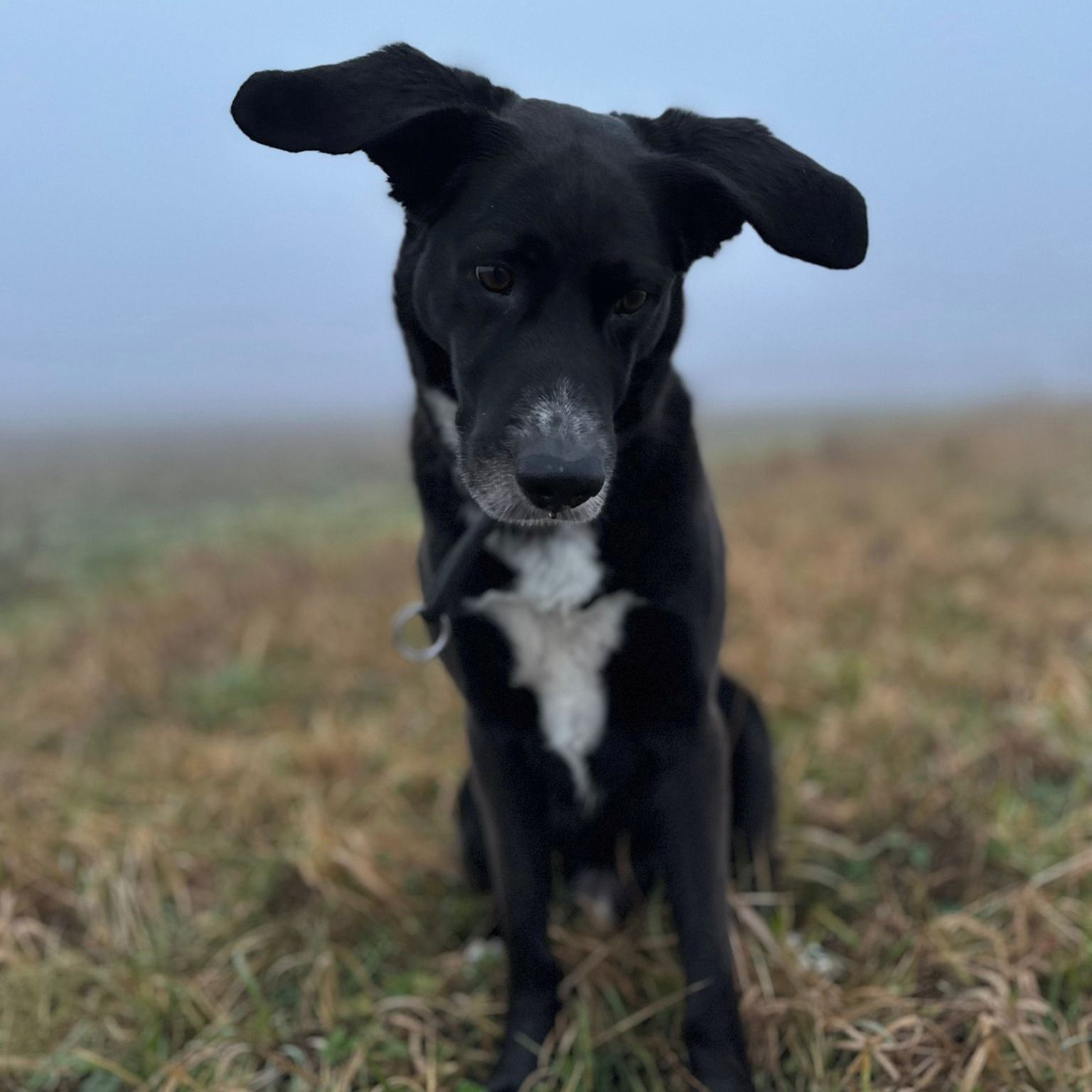 Soutěžní fotografie - Čert,  Ostatní