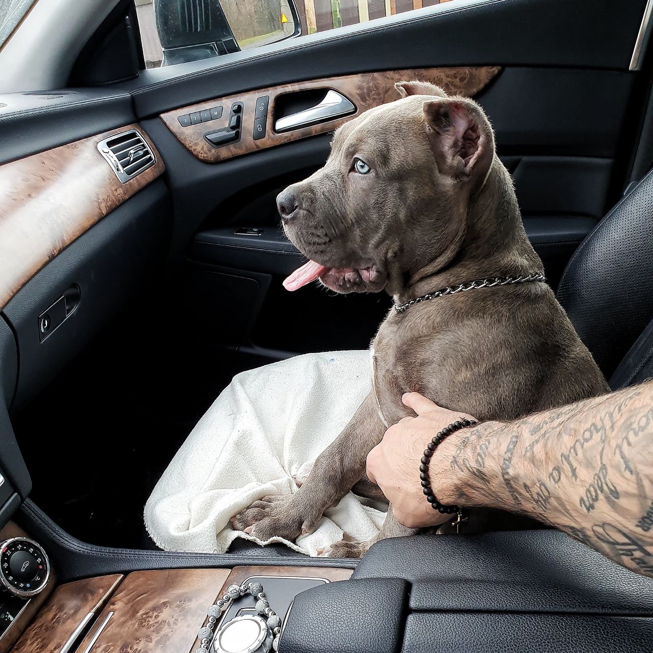 Soutěžní fotografie - Money,  Ostatní