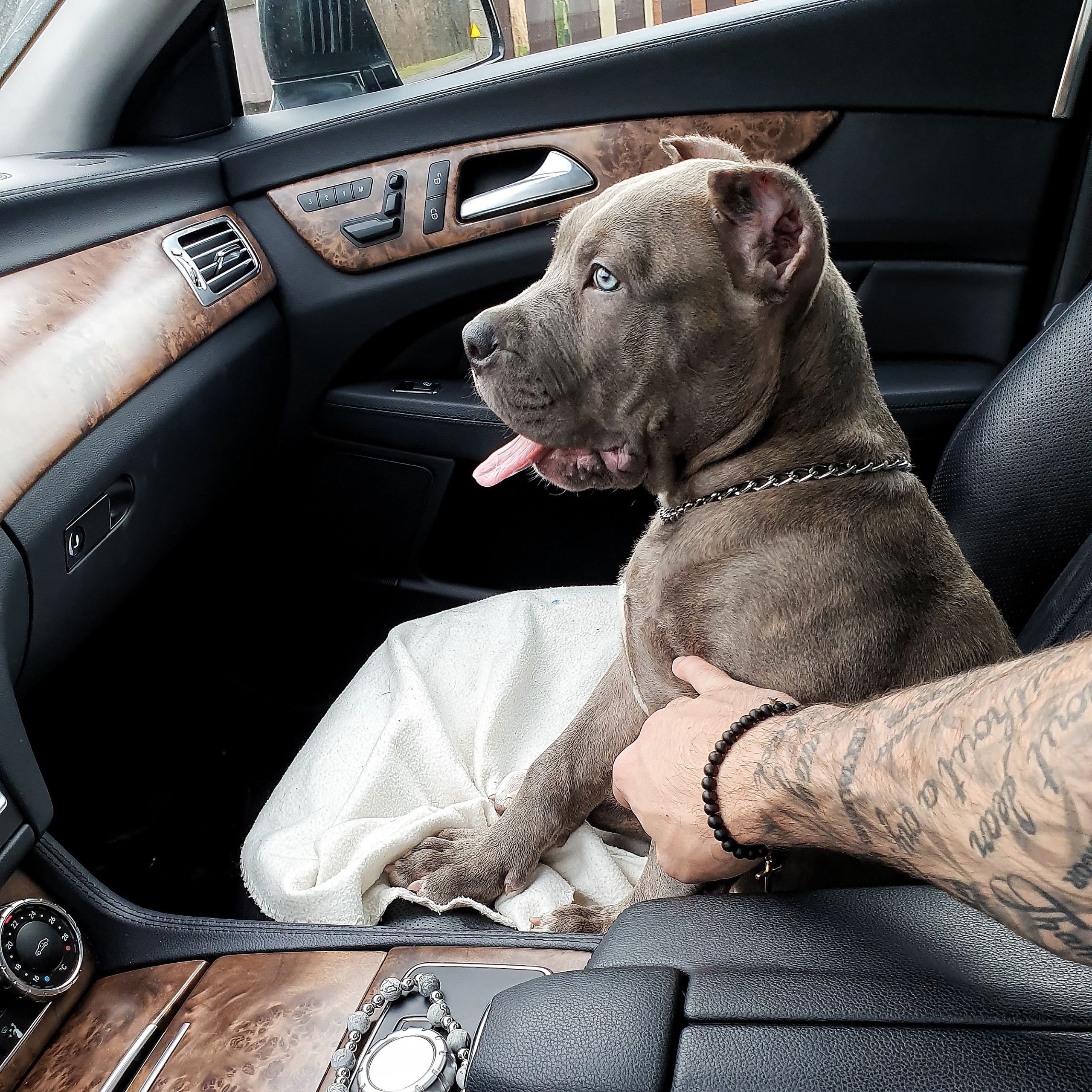 Soutěžní fotografie - Money,  Ostatní