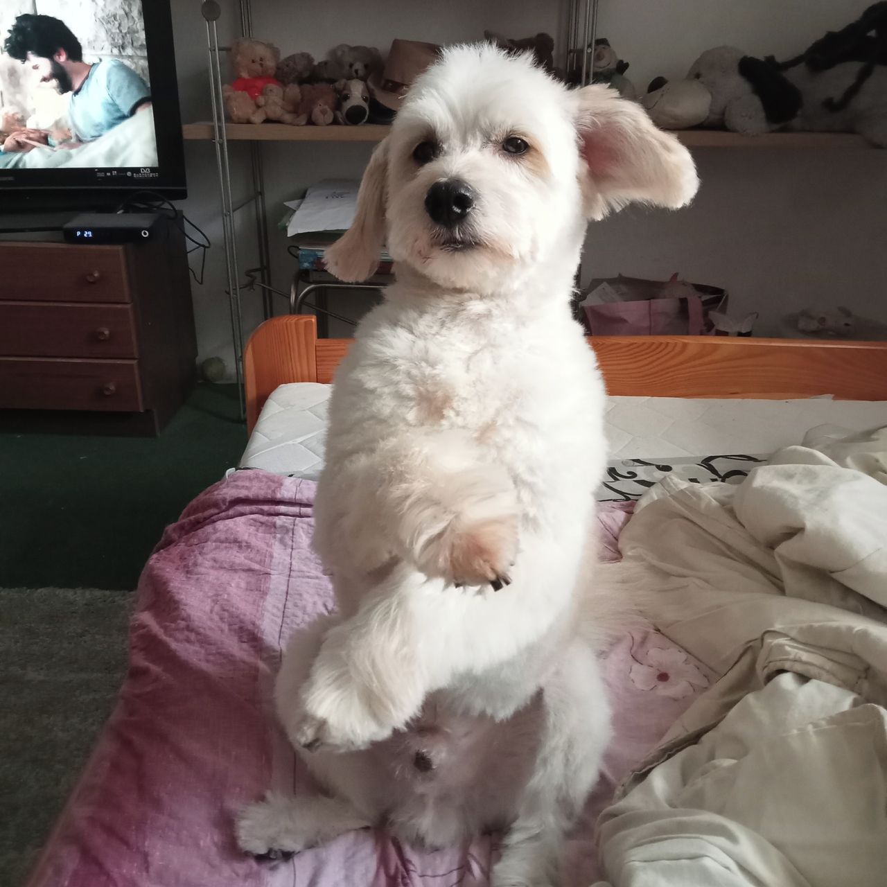 Soutěžní fotografie - Monty,  Ostatní