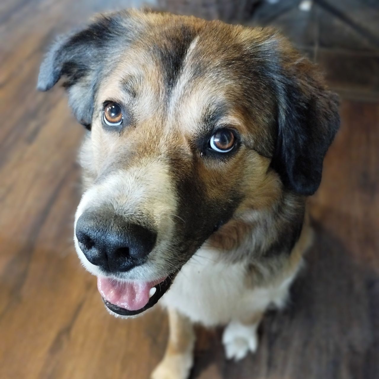 Soutěžní fotografie - Alf,  Ostatní