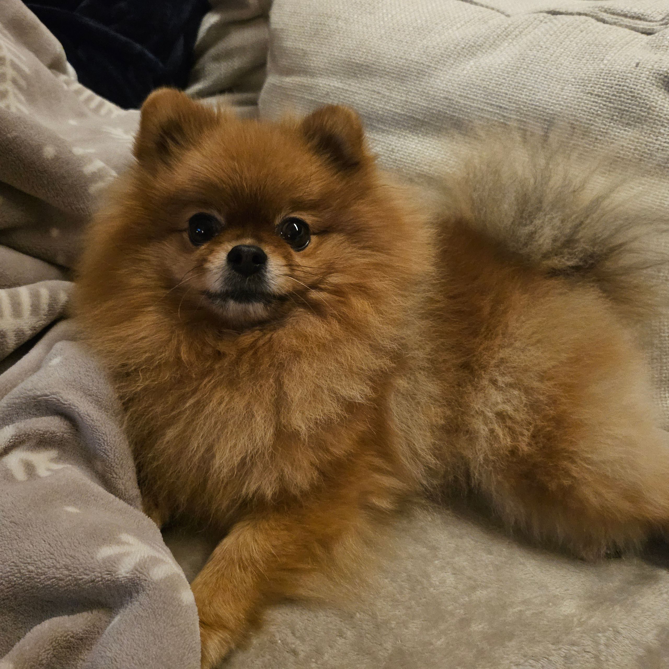 Soutěžní fotografie - DEA,  Ostatní