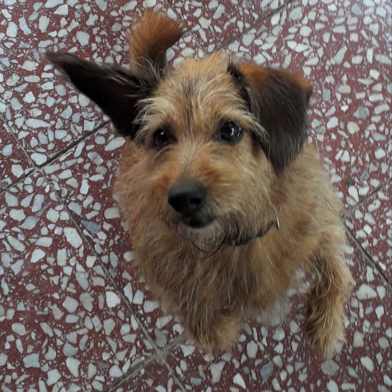 Soutěžní fotografie - Irénka,  Ostatní