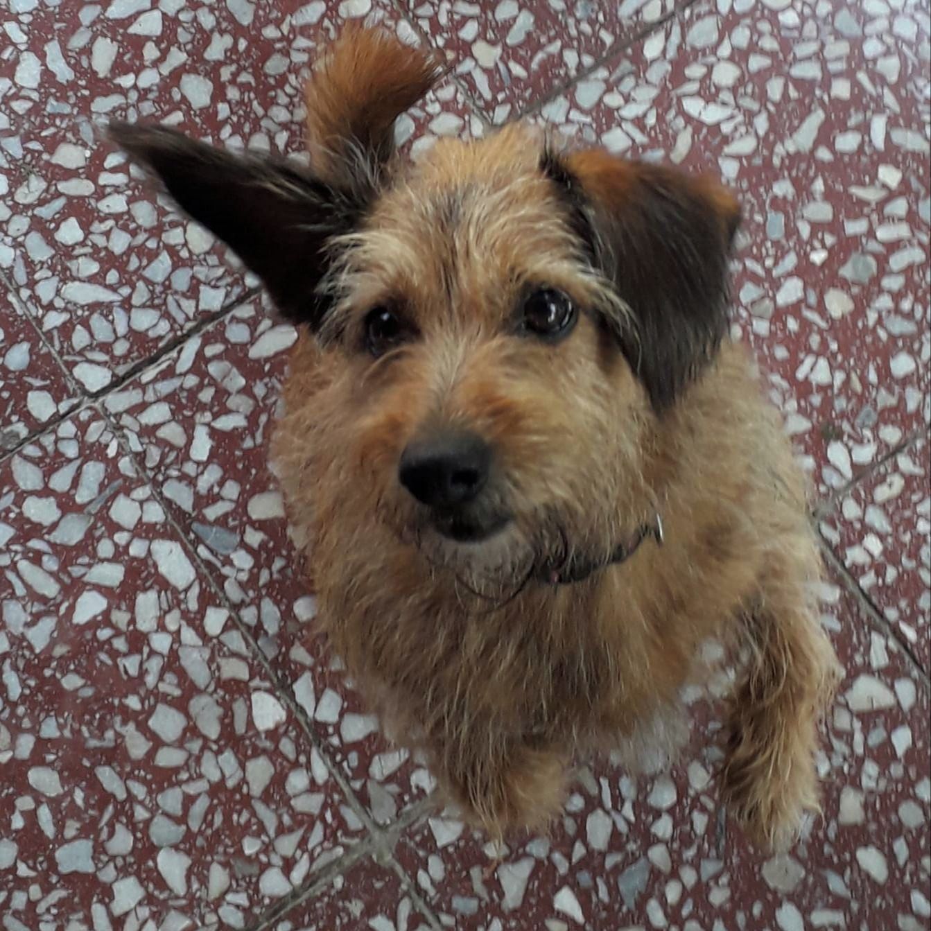 Soutěžní fotografie - Irénka,  Ostatní