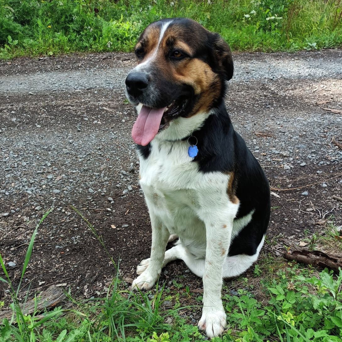 Soutěžní fotografie - Jessie,  Ostatní