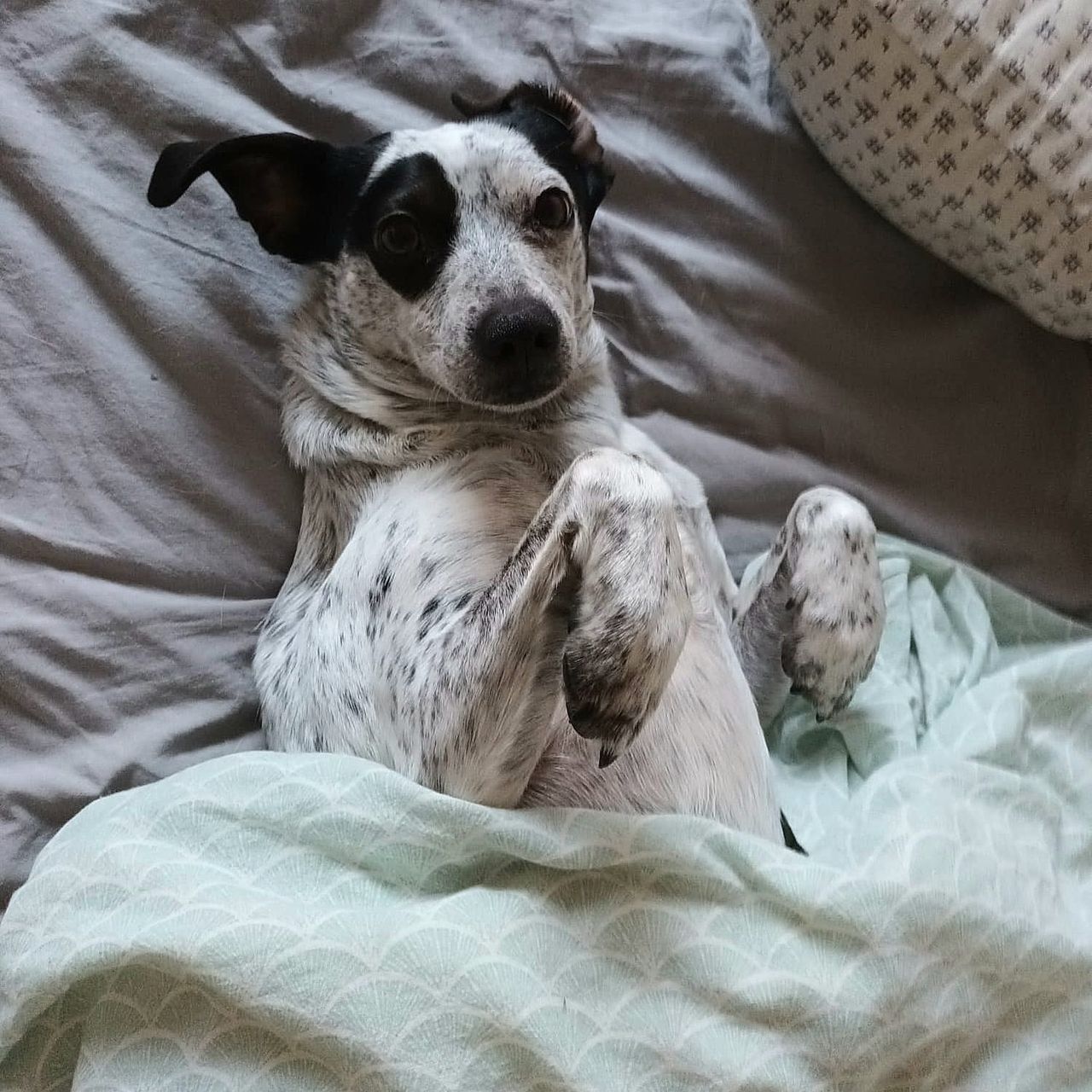 Soutěžní fotografie - Patty,  Ostatní