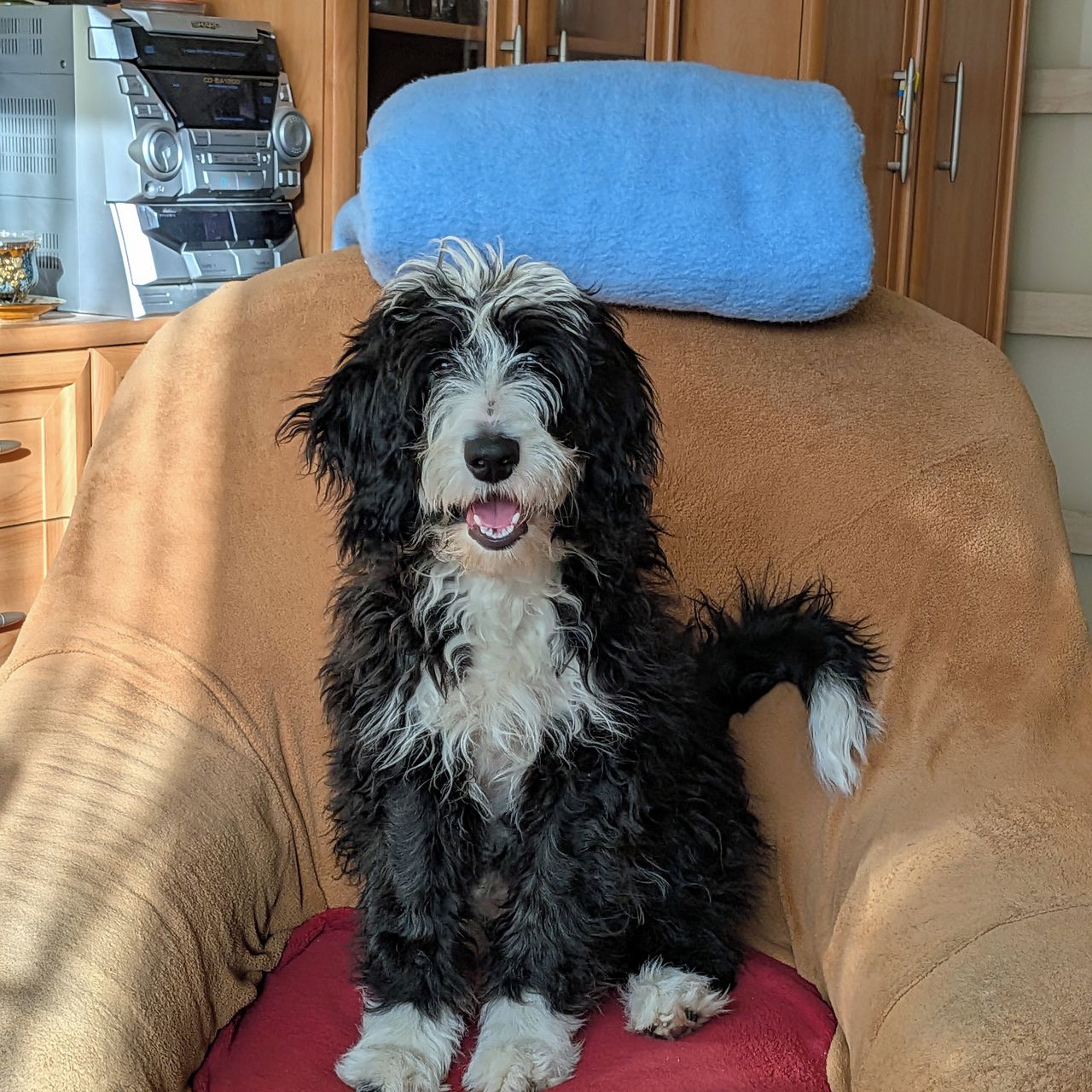 Soutěžní fotografie - Kefi,  Ostatní