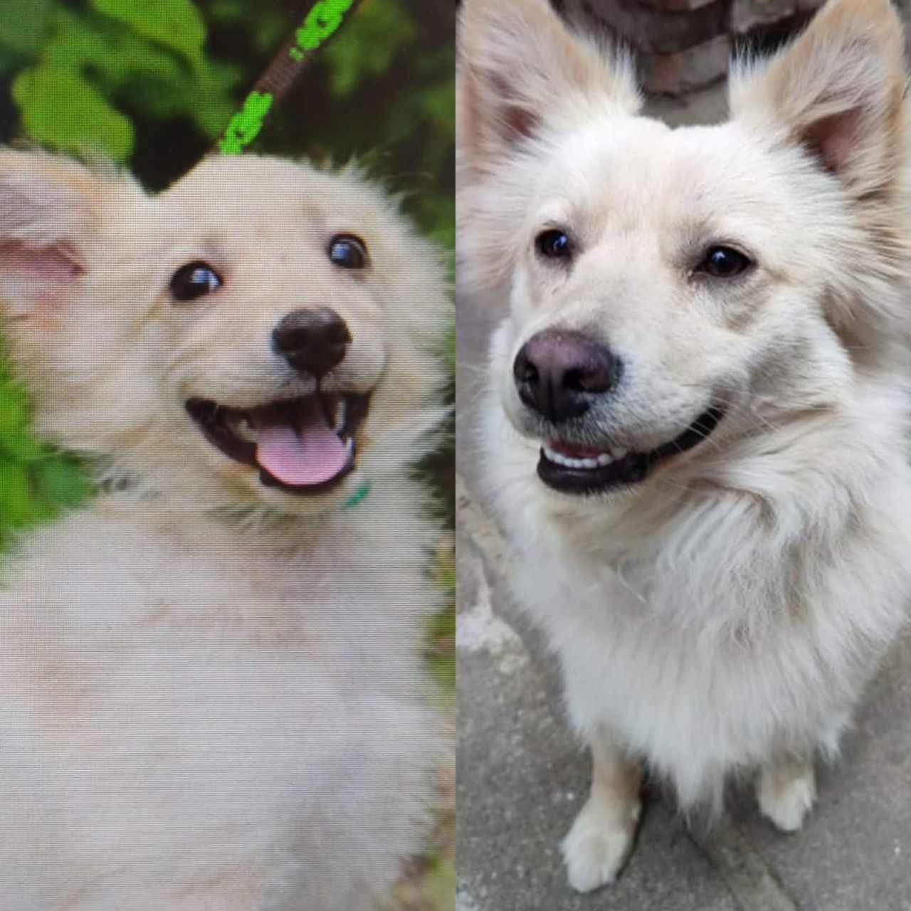 Soutěžní fotografie - Kimchi,  Ostatní